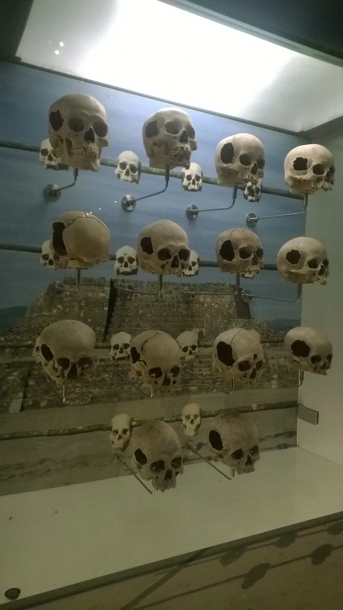 Museo de Historia Natural