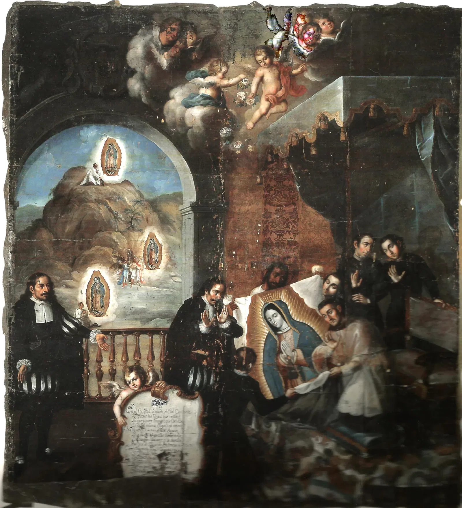 Museo de Historia Natural