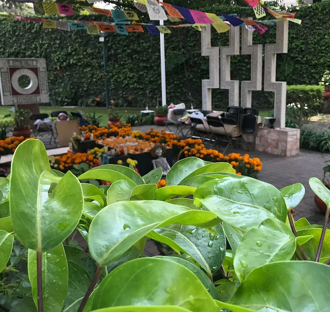 Museo Nacional de la Acuarela Alfredo Guati Rojo