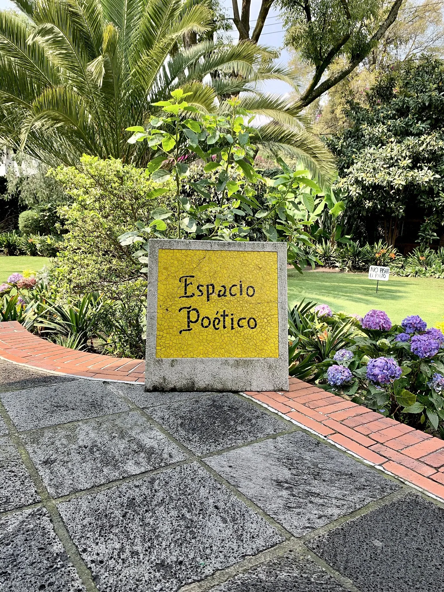 Alfredo Guati Rojo National Watercolor Museum