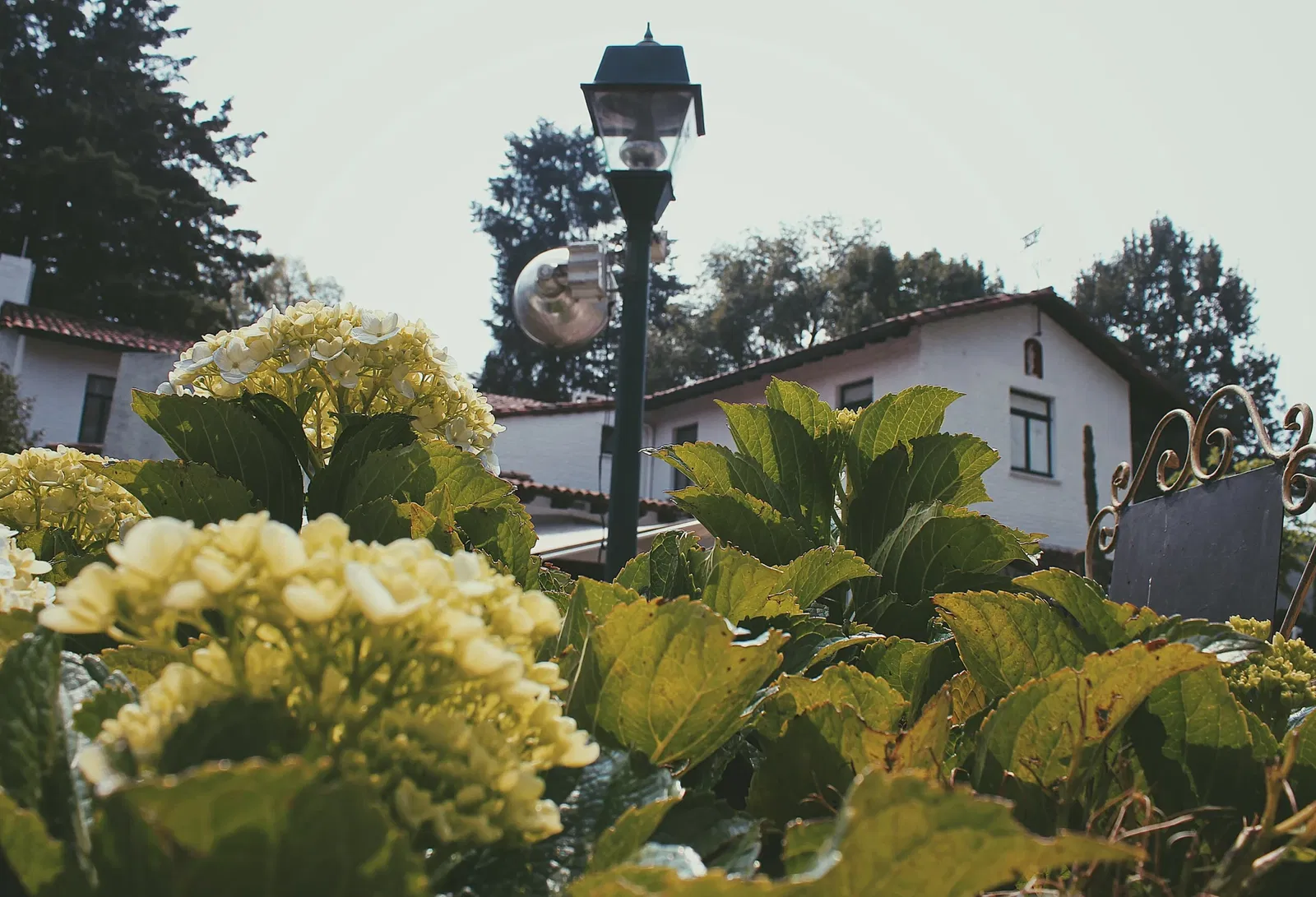 Museo Nacional de la Acuarela Alfredo Guati Rojo