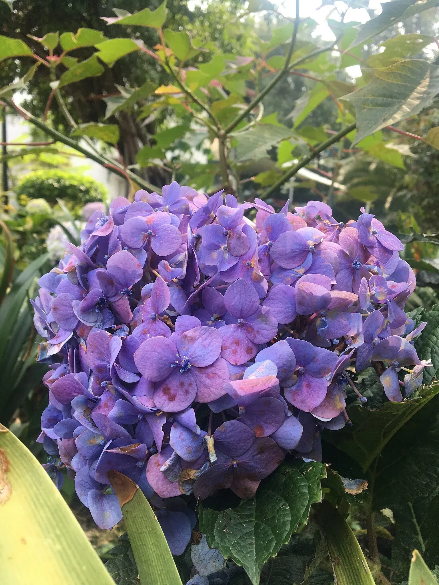 Alfredo Guati Rojo National Watercolor Museum