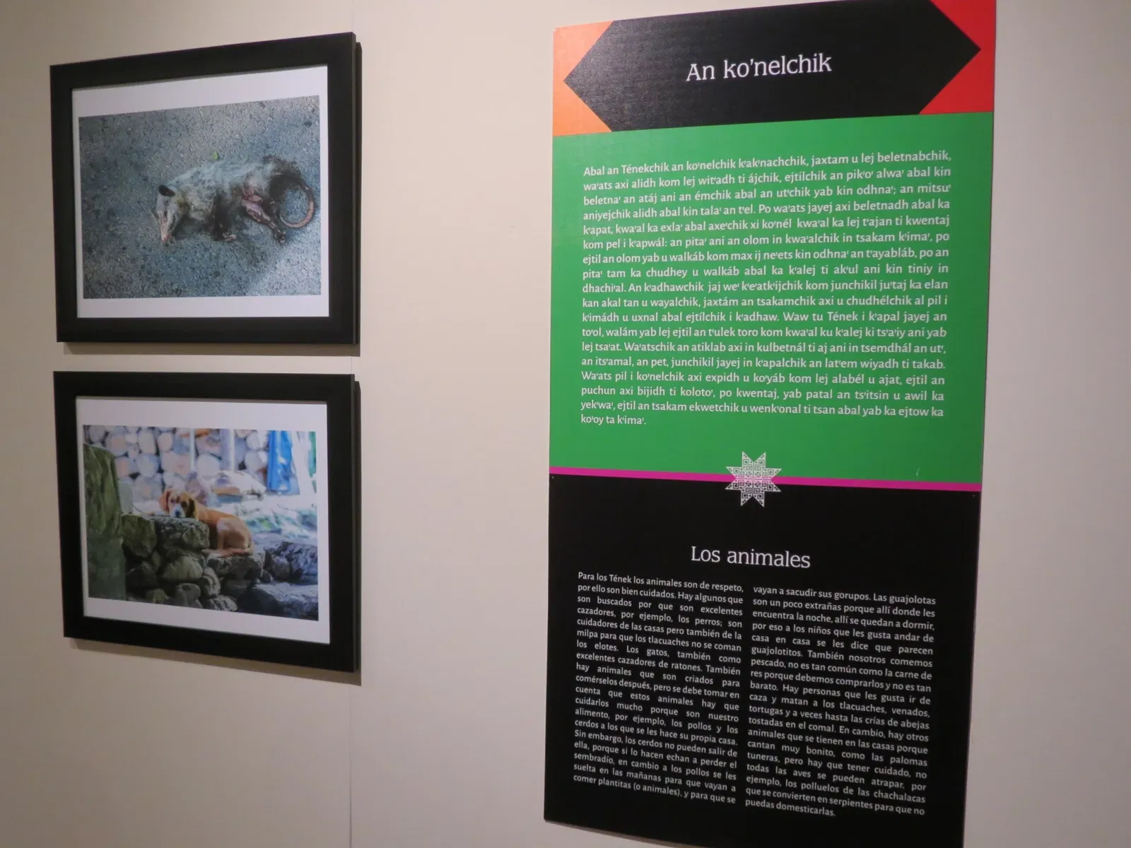 National Museum of World Cultures