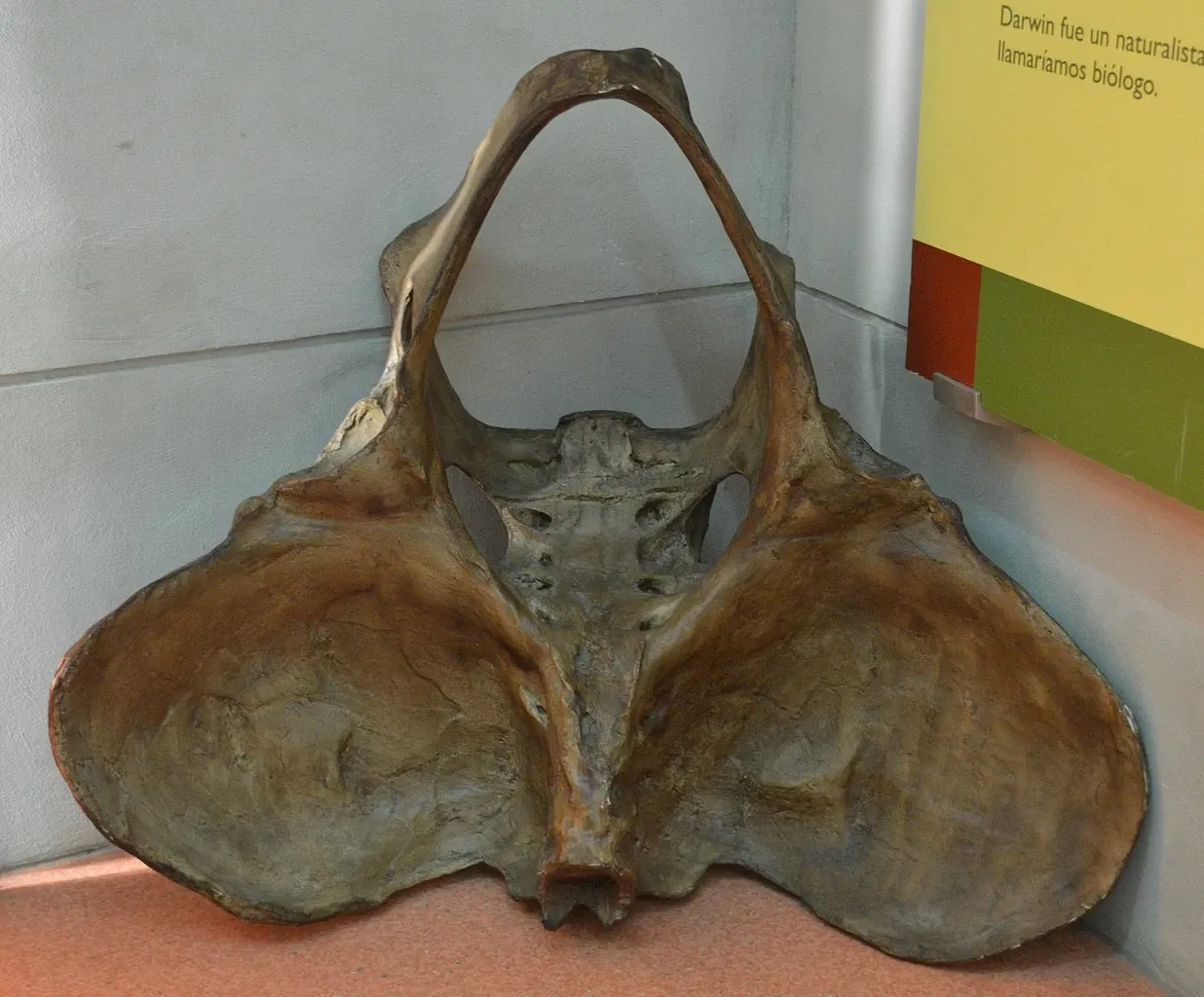 Universum - Museum of Sciences