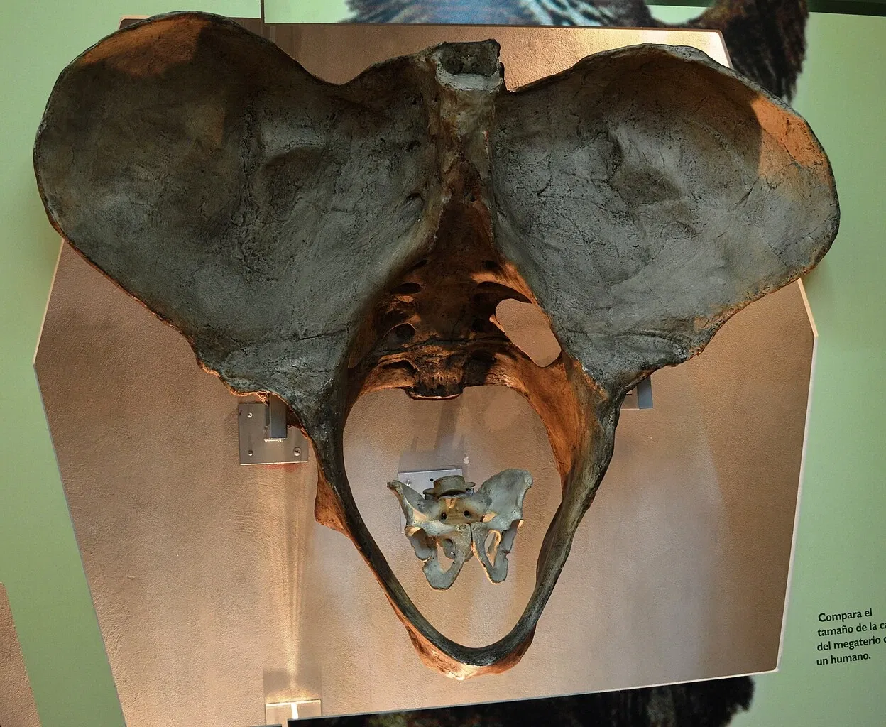 Universum - Museum of Sciences