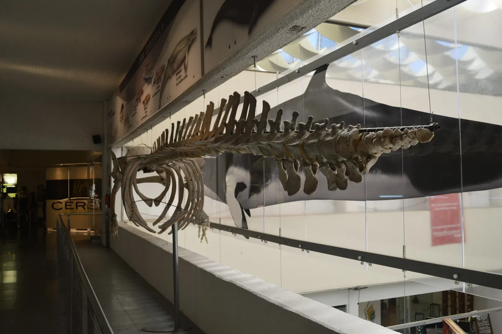 Universum - Museum of Sciences