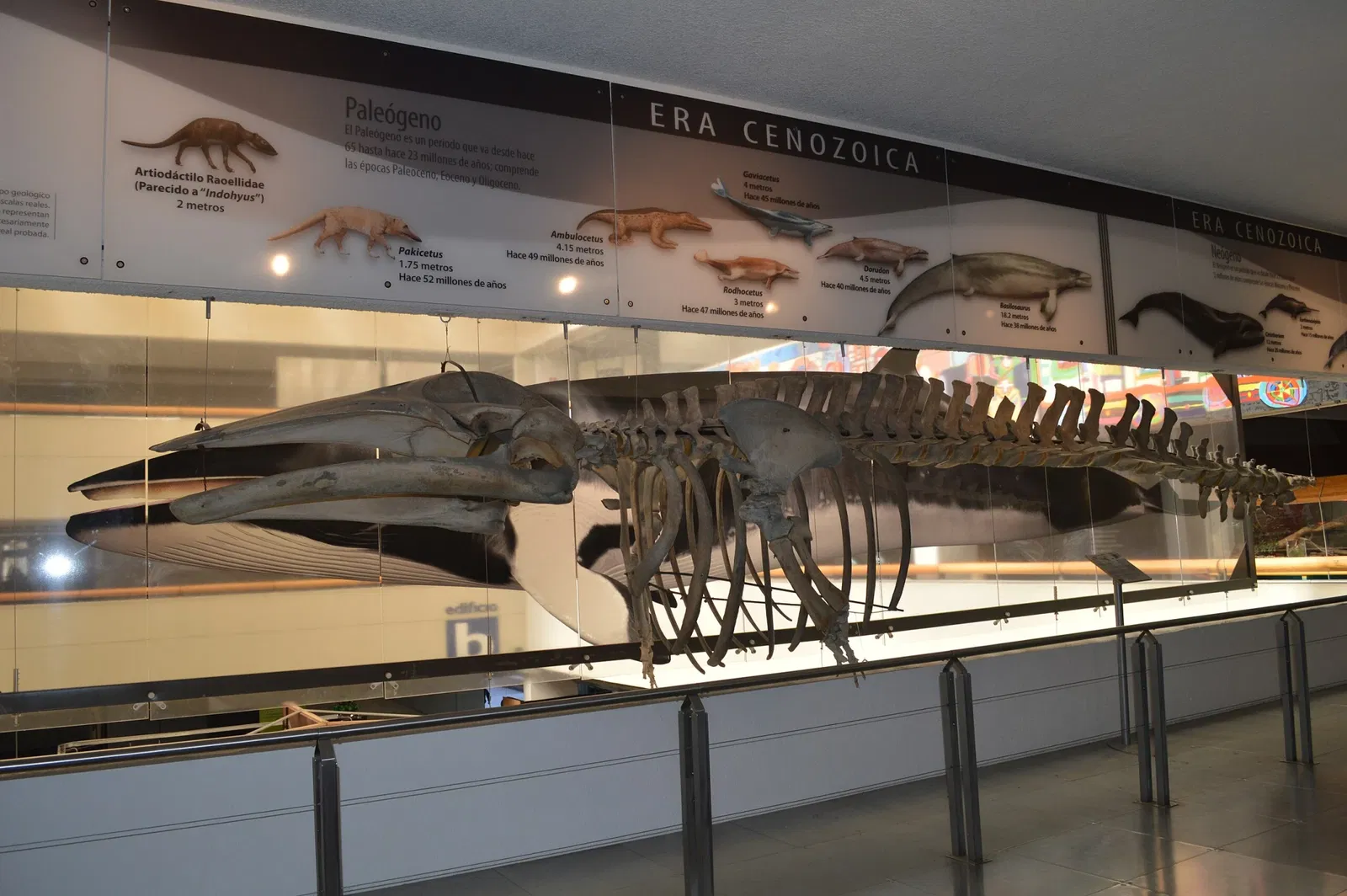 Universum - Museo de la Ciencias