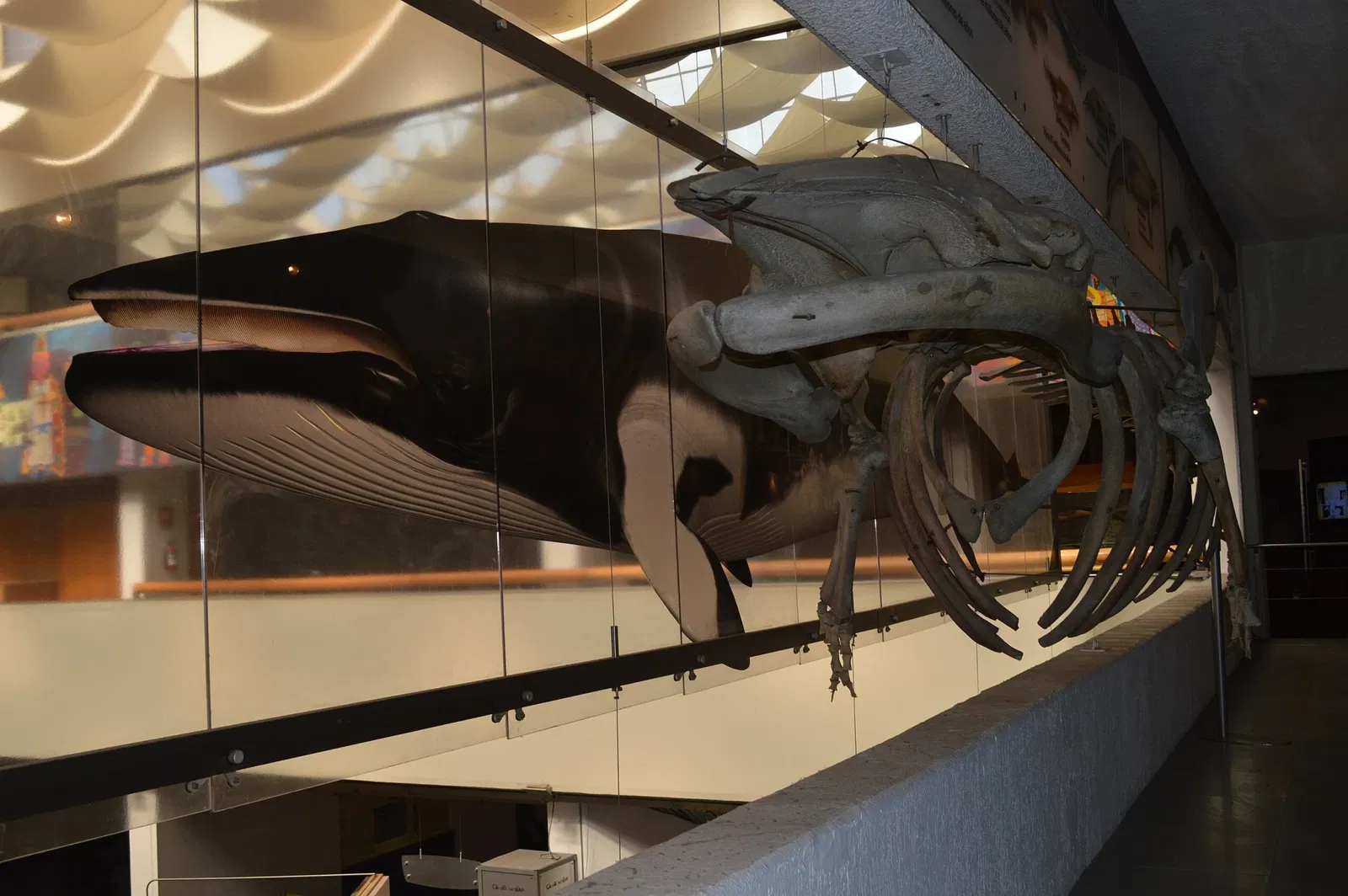 Universum - Museum of Sciences