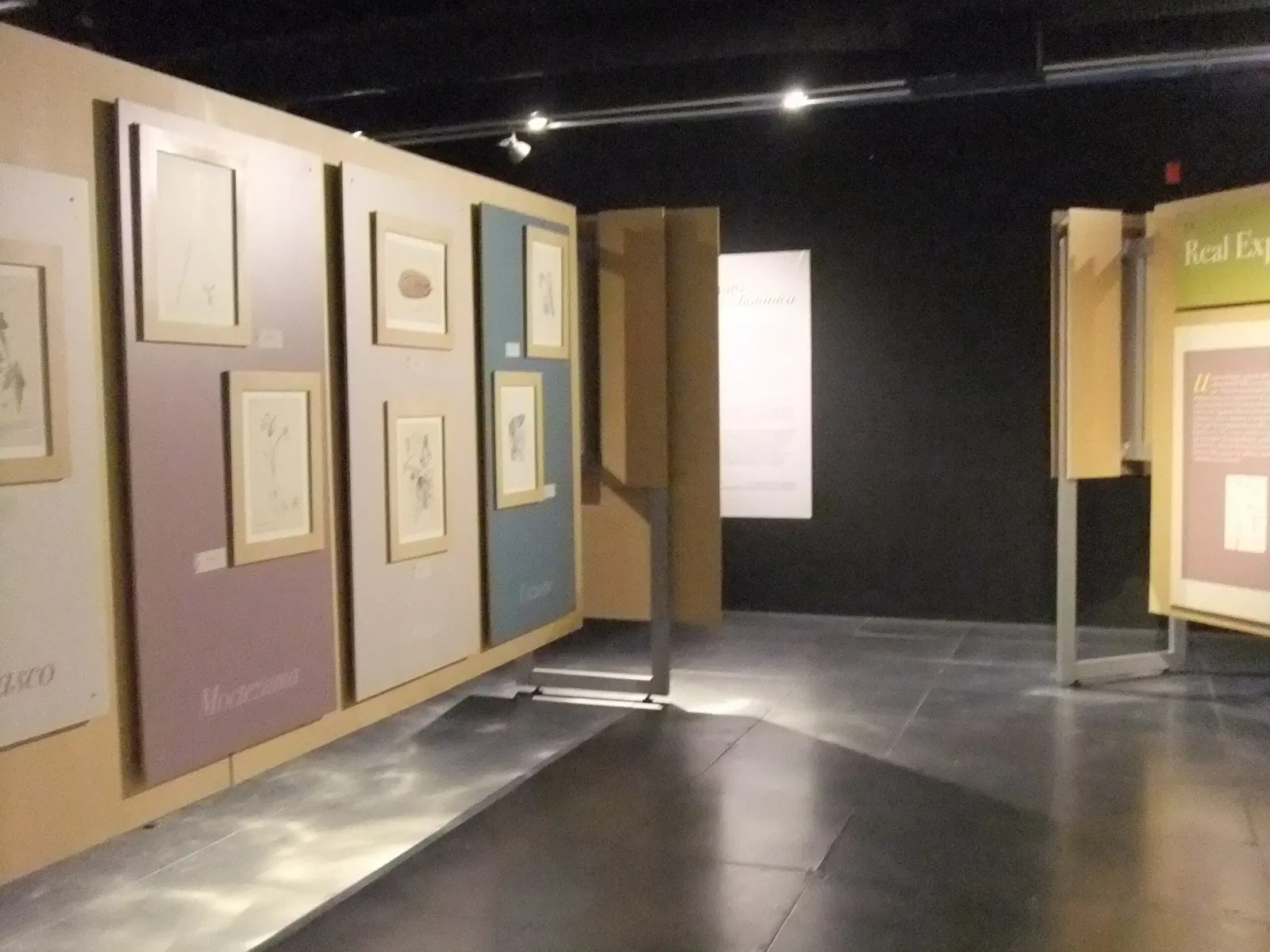 Universum - Museo de la Ciencias