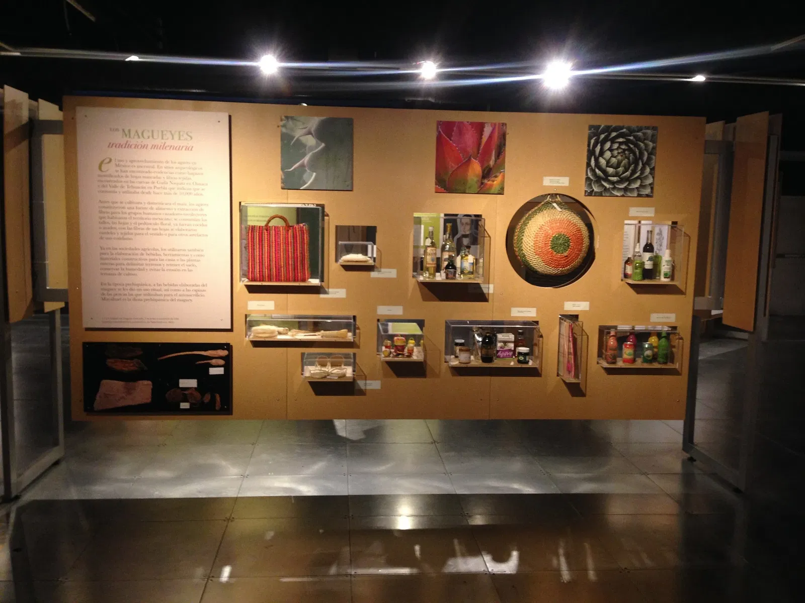 Universum - Museum of Sciences