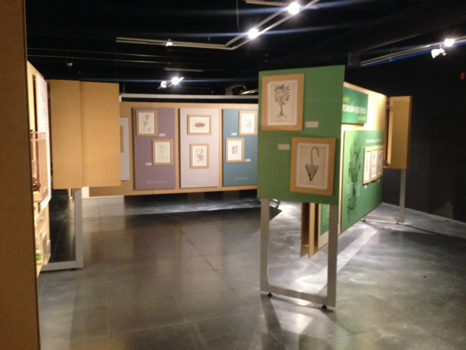 Universum - Museo de la Ciencias