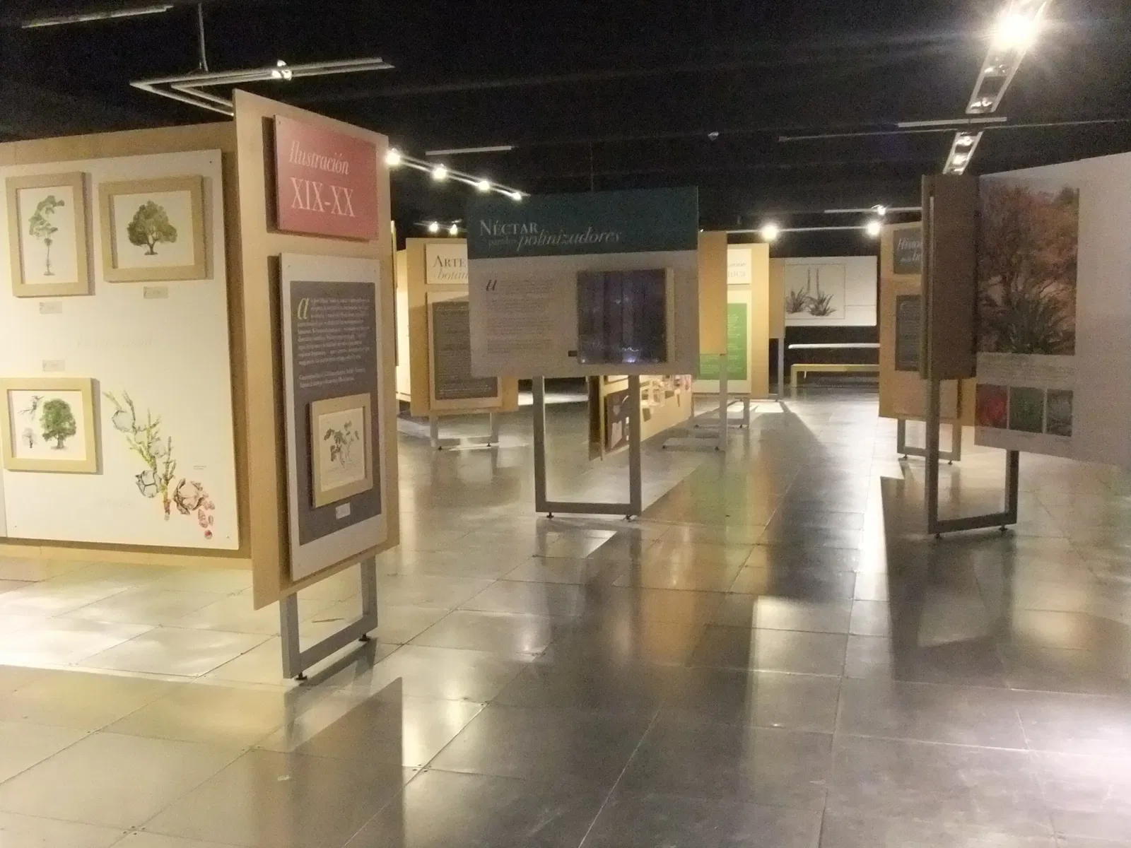 Universum - Museo de la Ciencias