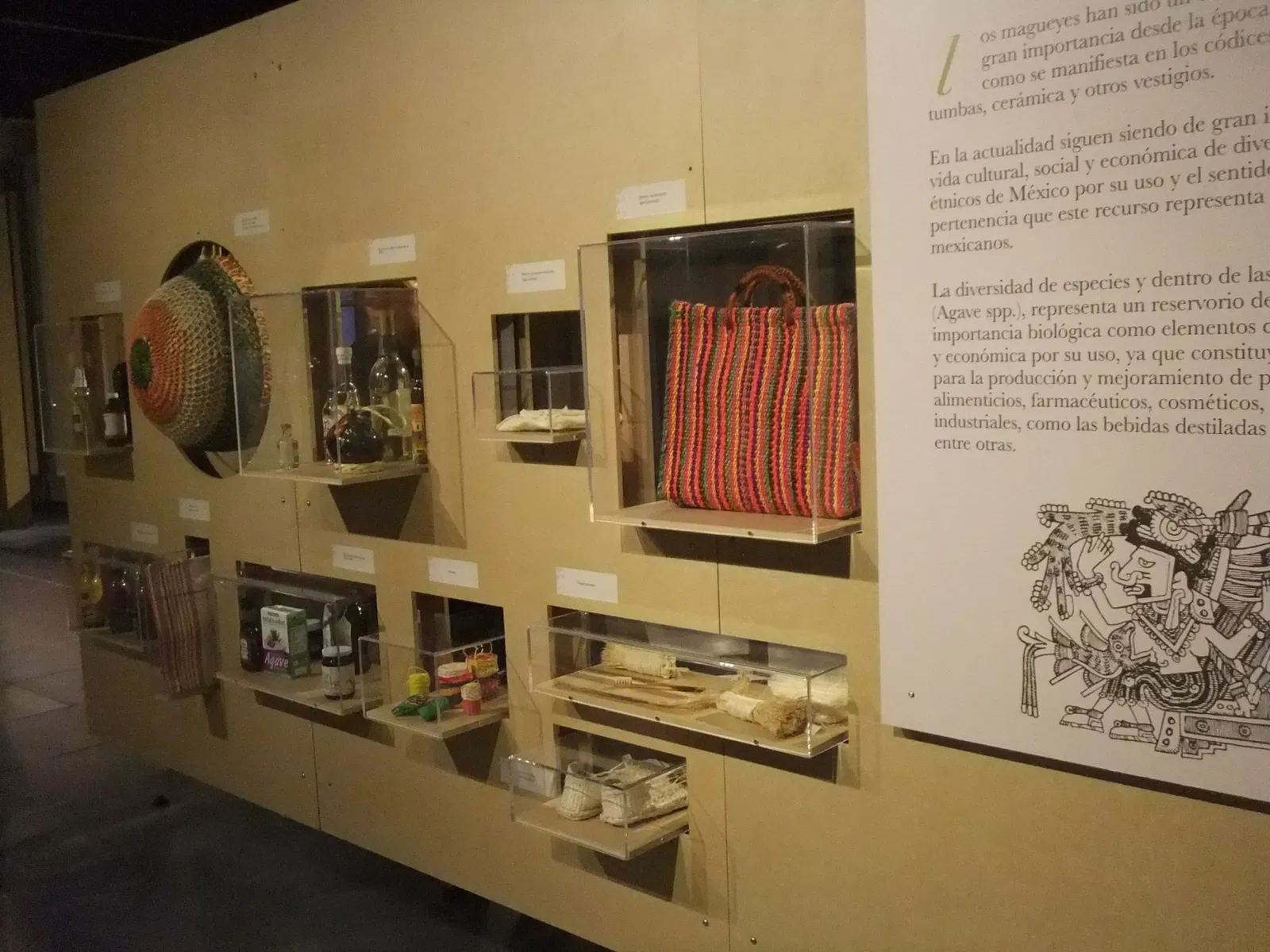 Universum - Museo de la Ciencias