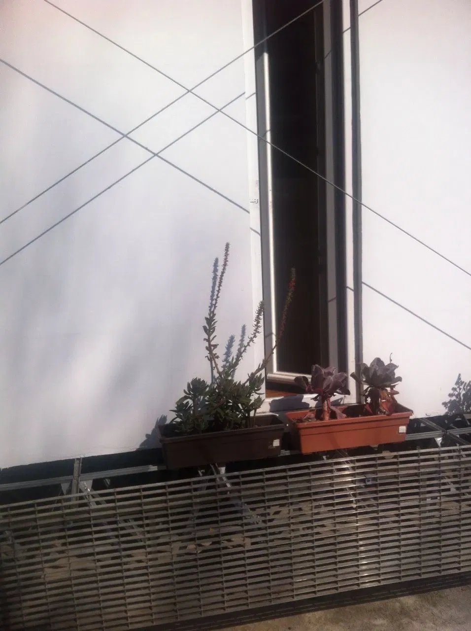 Universum - Museo de la Ciencias