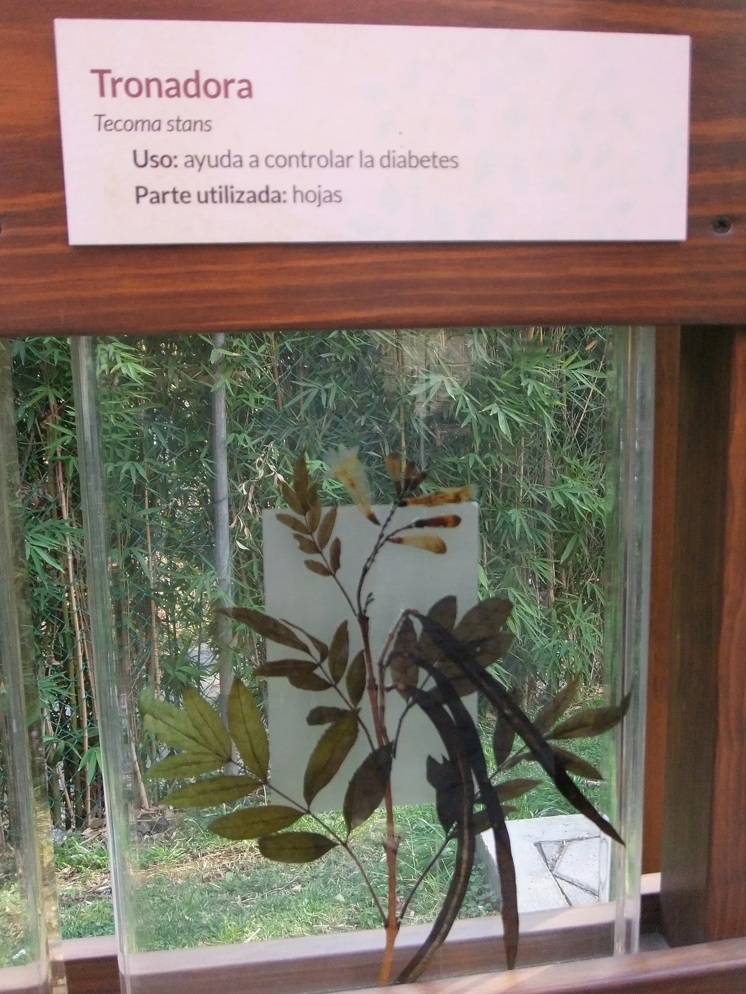 Universum - Museo de la Ciencias