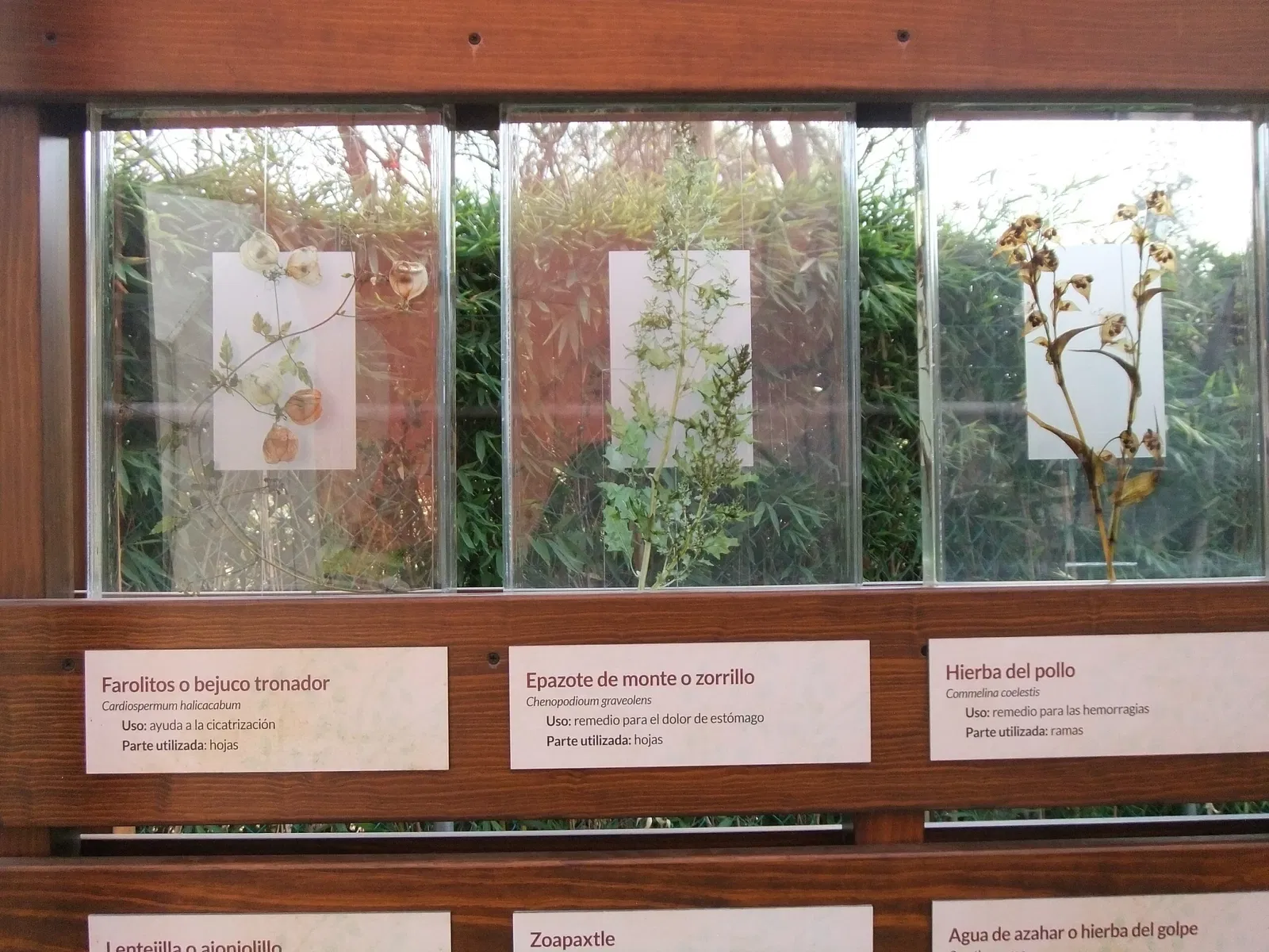 Universum - Museum of Sciences