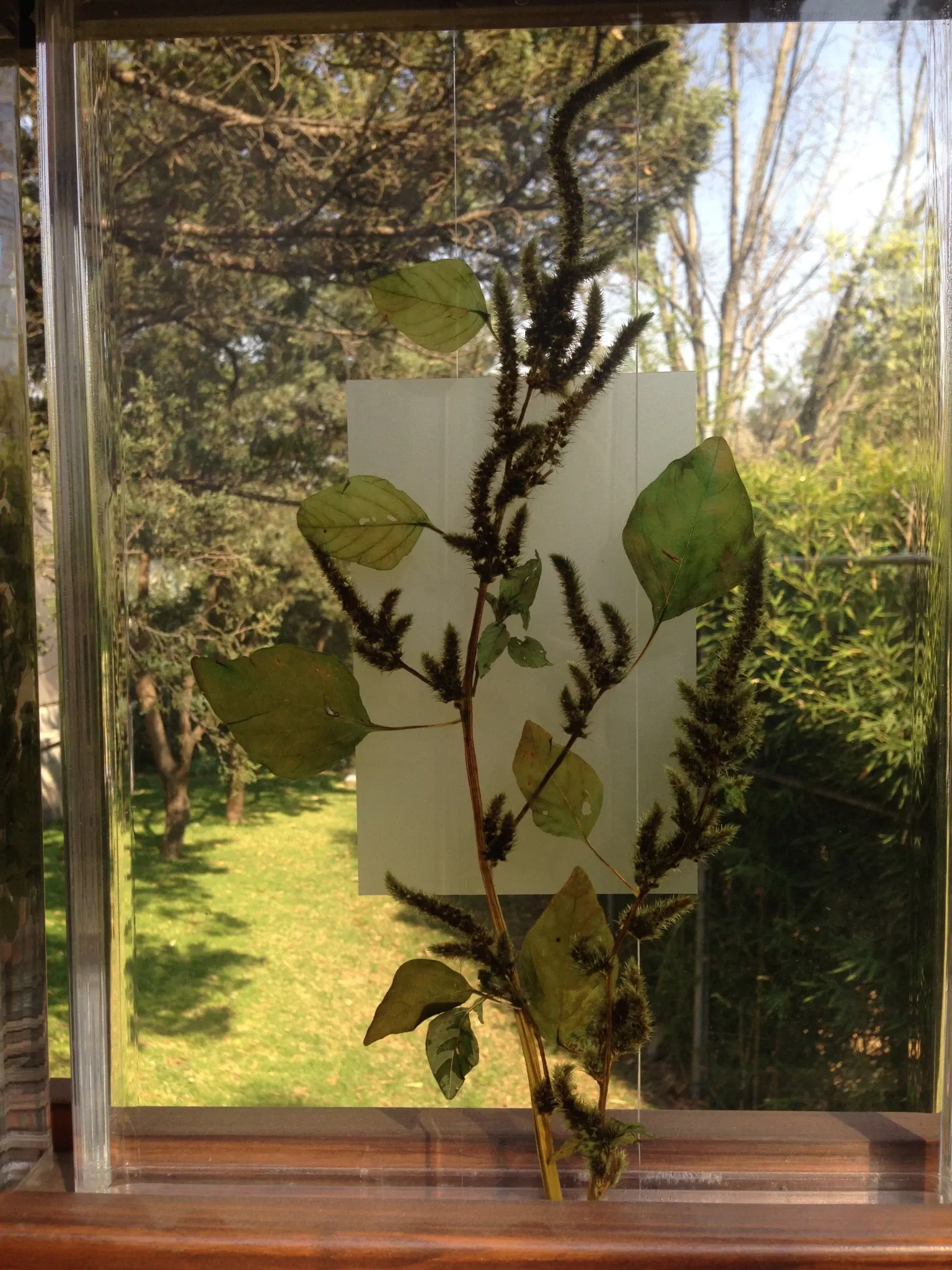 Universum - Museum of Sciences