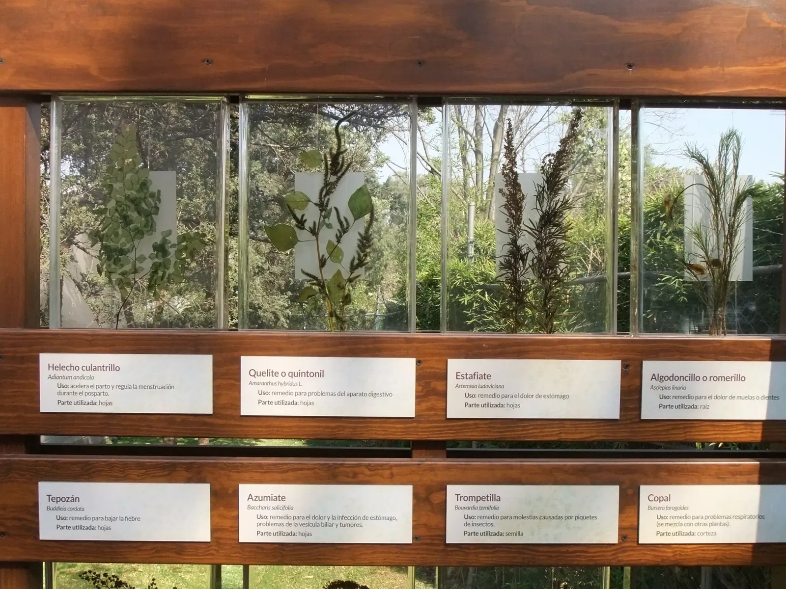 Universum - Museo de la Ciencias