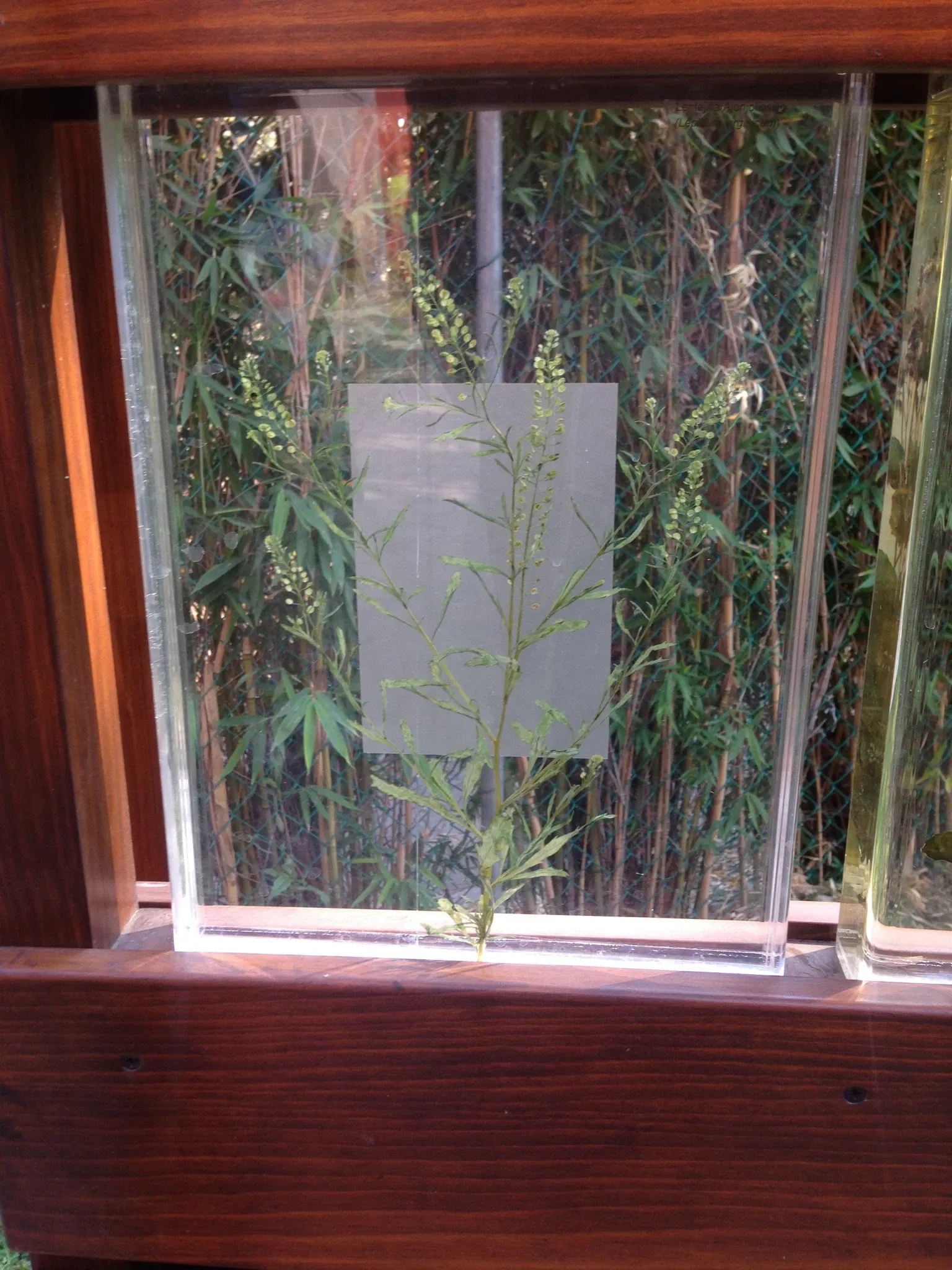 Universum - Museum of Sciences