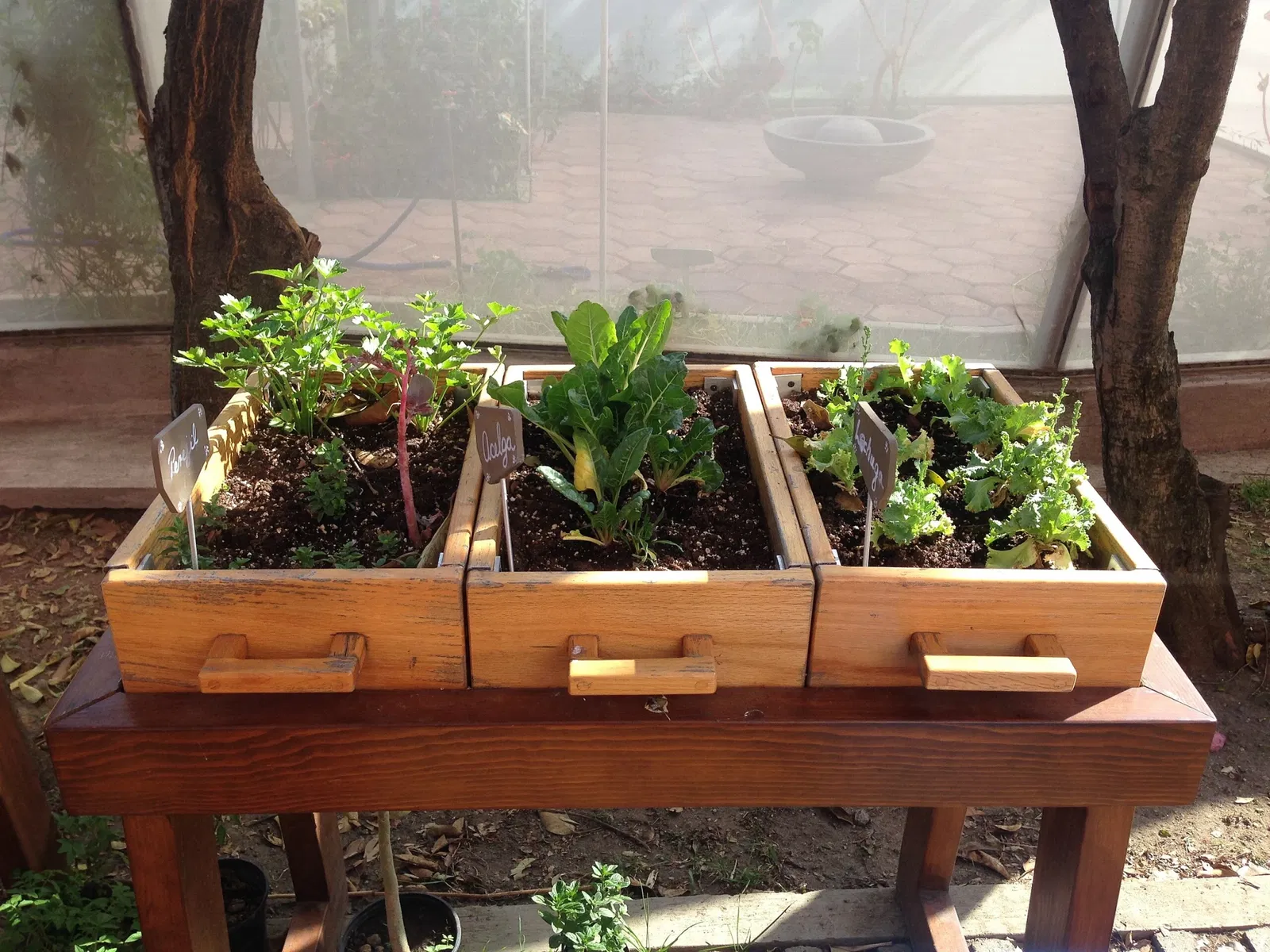 Universum - Museum of Sciences