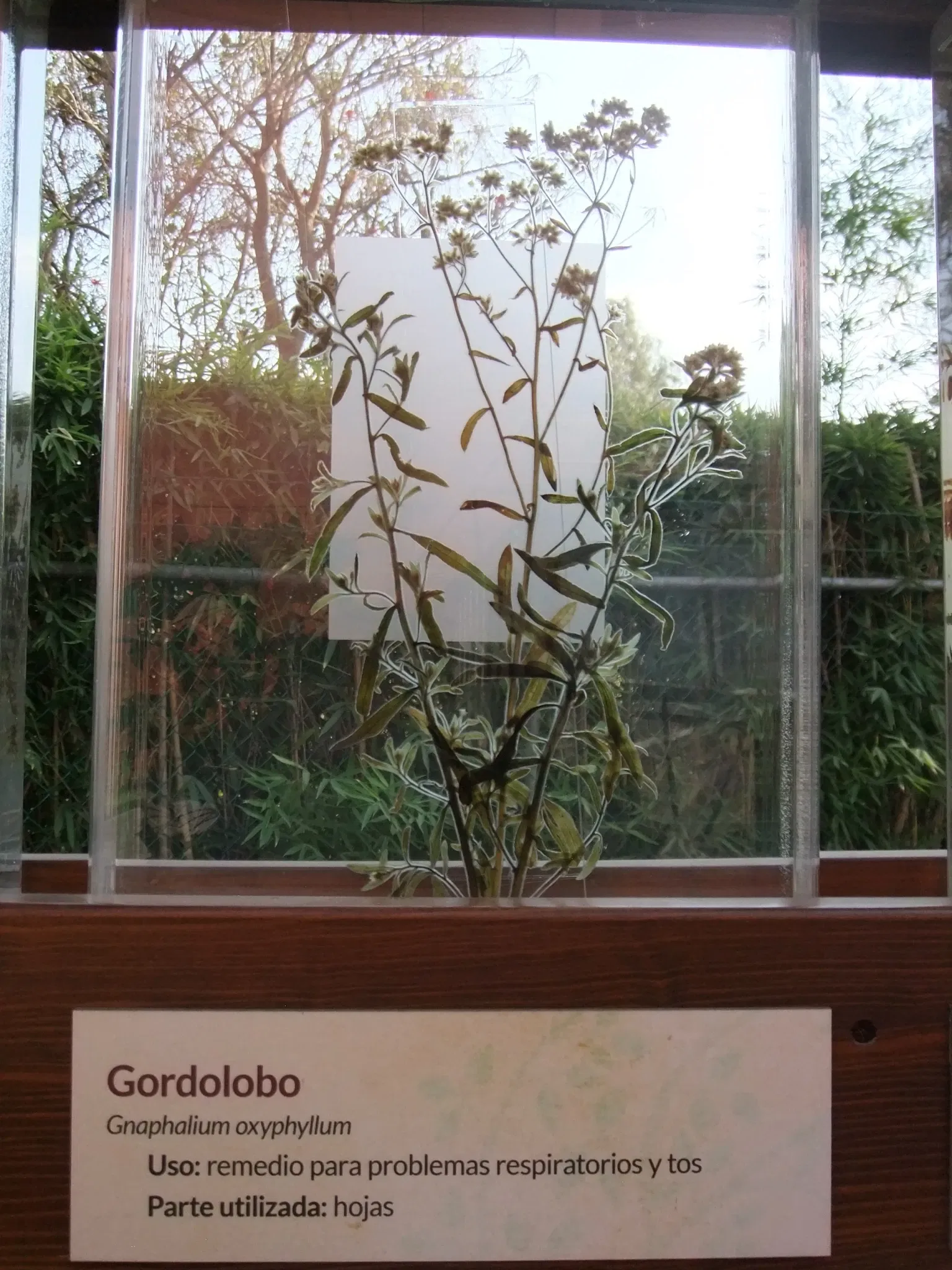 Universum - Museo de la Ciencias