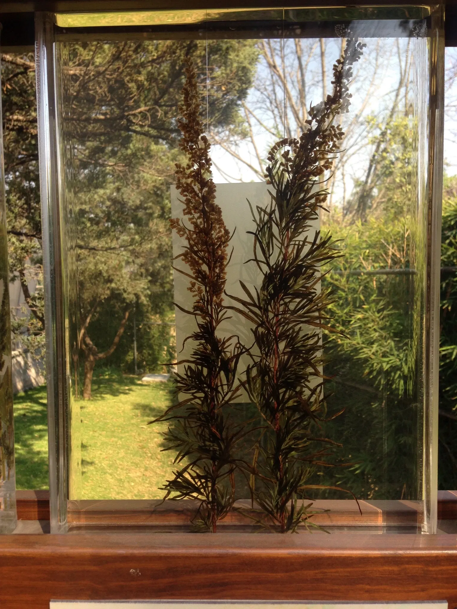 Universum - Museum of Sciences