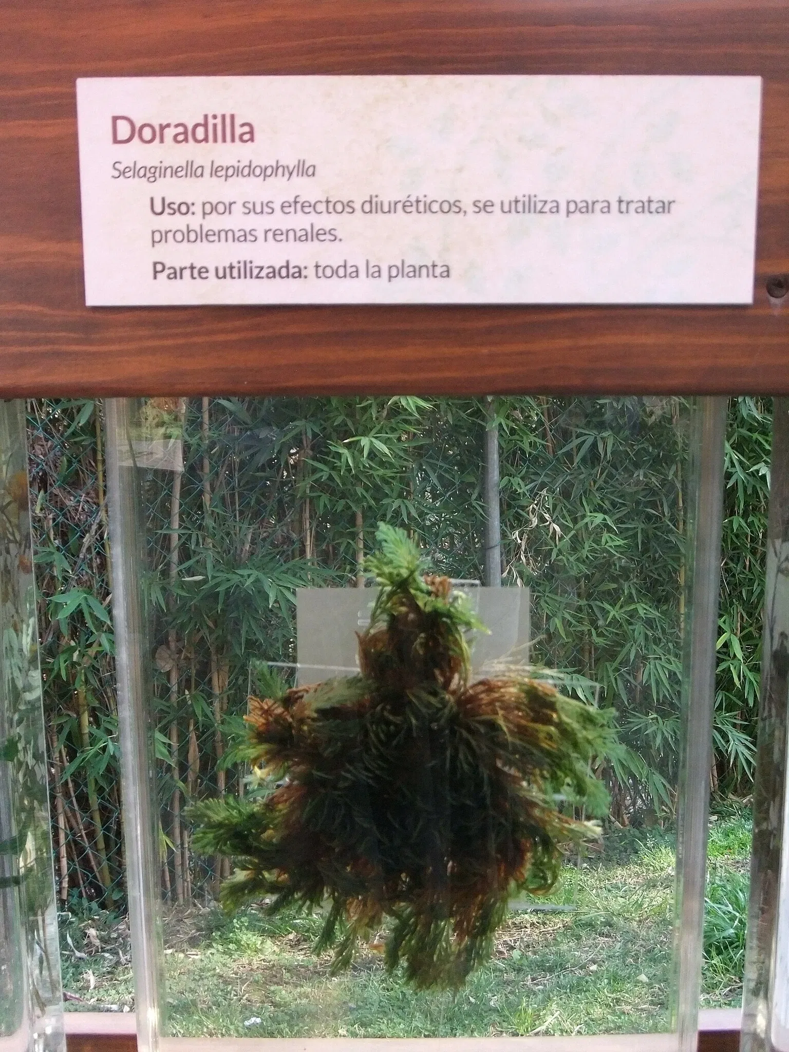 Universum - Museo de la Ciencias