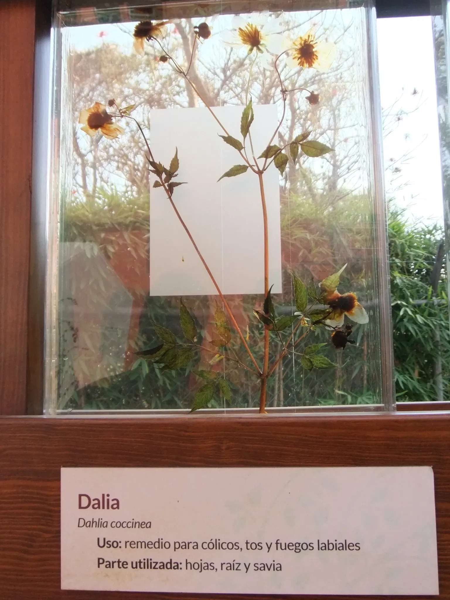 Universum - Museo de la Ciencias