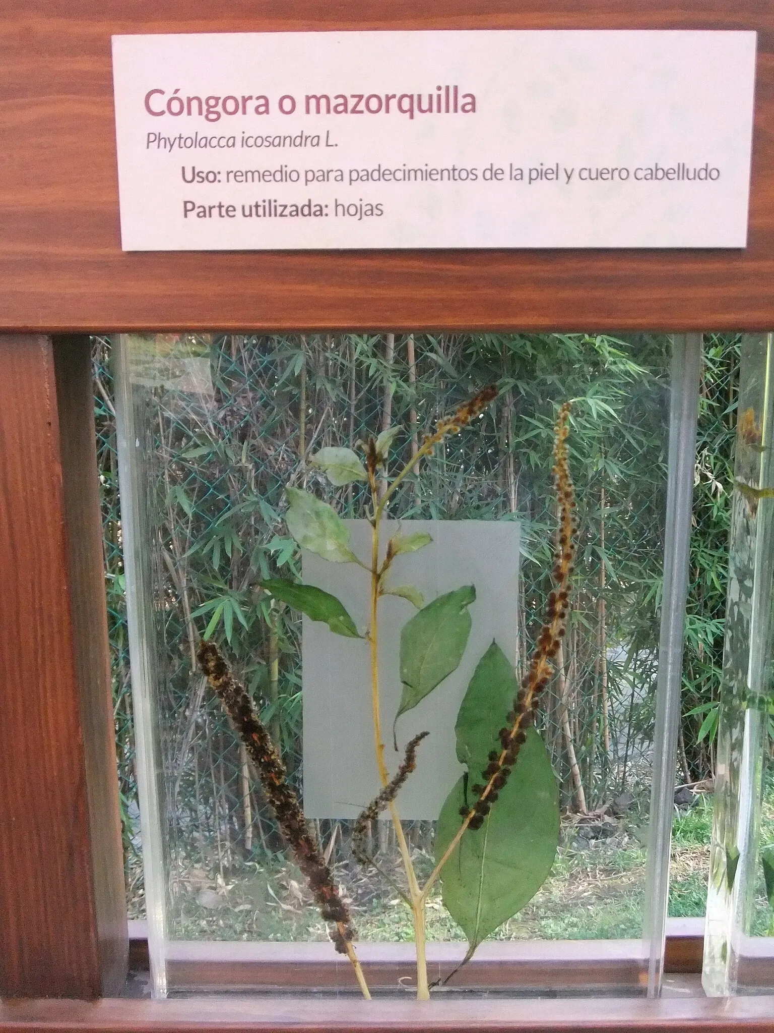 Universum - Museo de la Ciencias