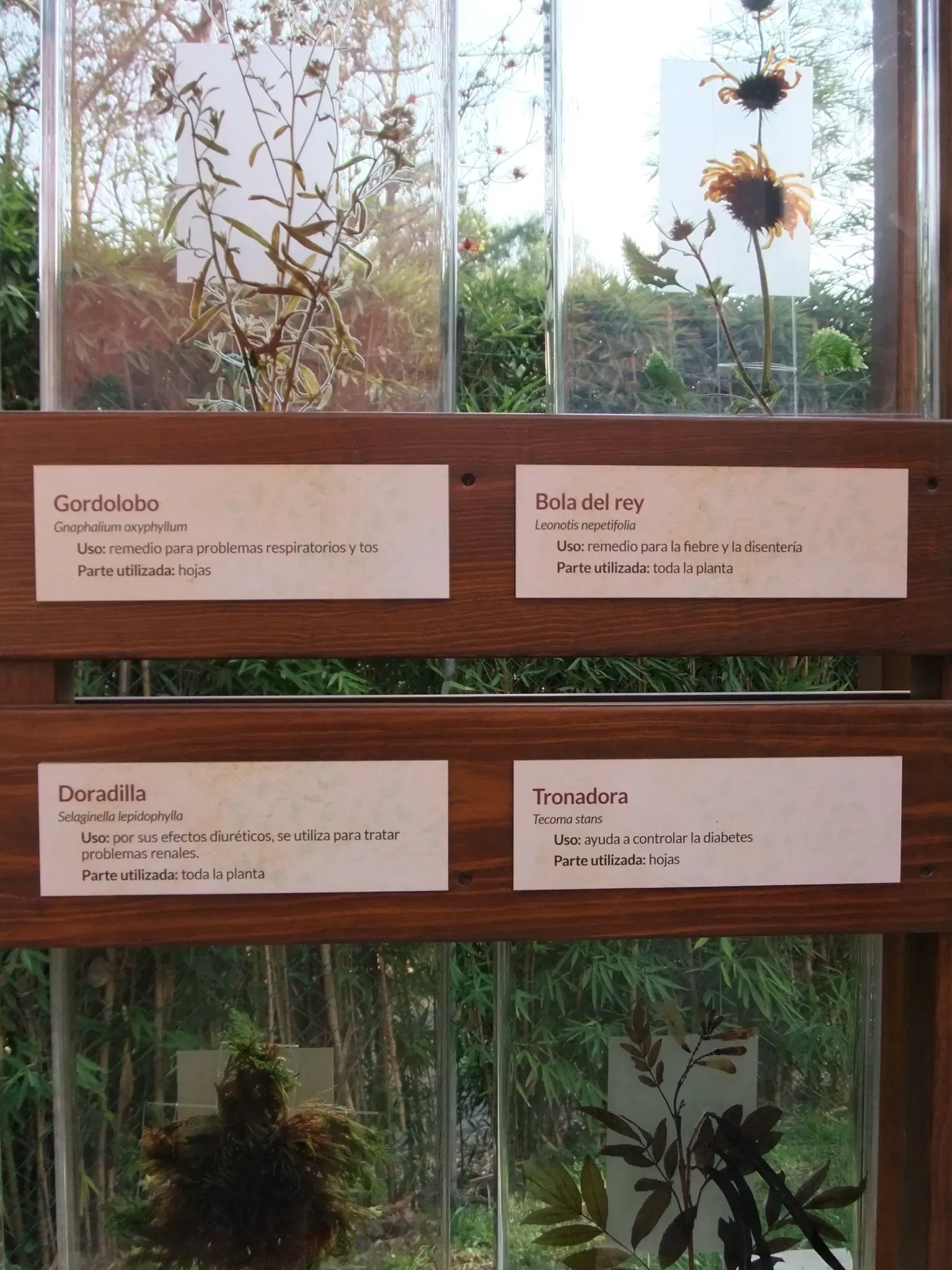 Universum - Museo de la Ciencias