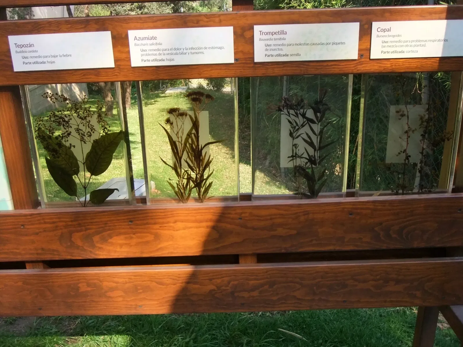 Universum - Museo de la Ciencias