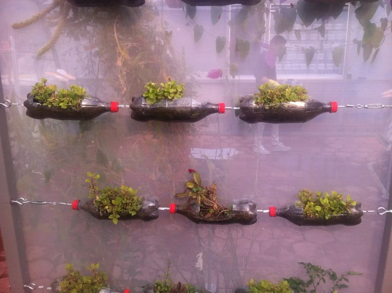 Universum - Museum of Sciences