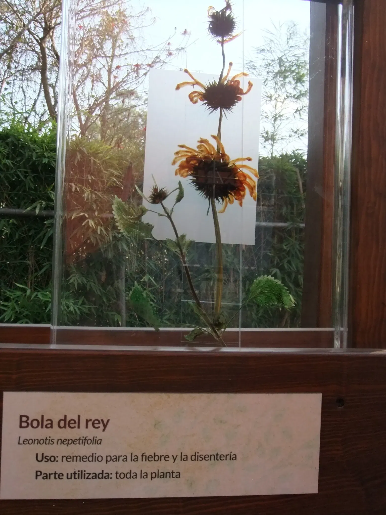 Universum - Museo de la Ciencias