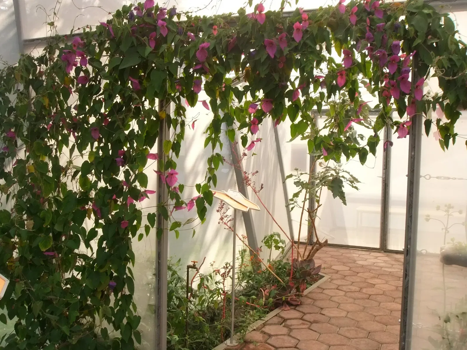 Universum - Museum of Sciences