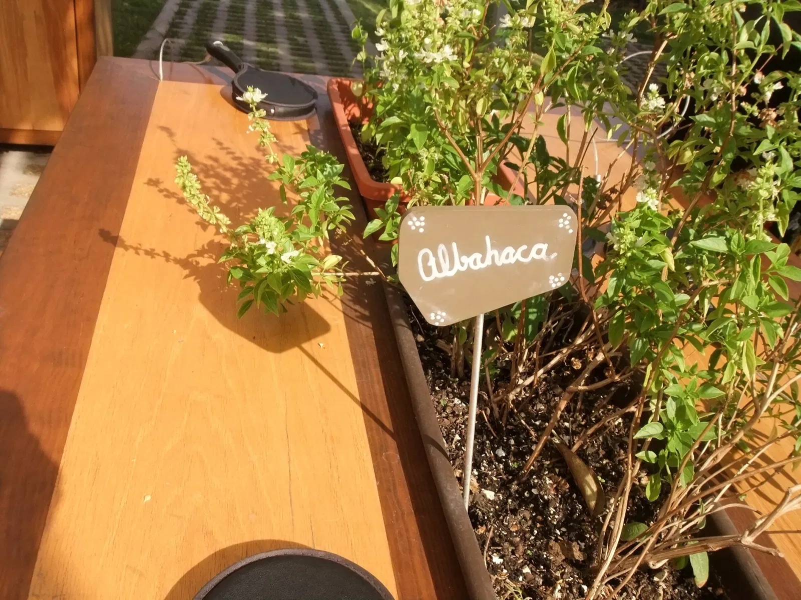 Universum - Museum of Sciences