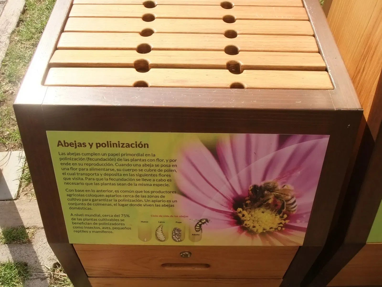 Universum - Museo de la Ciencias