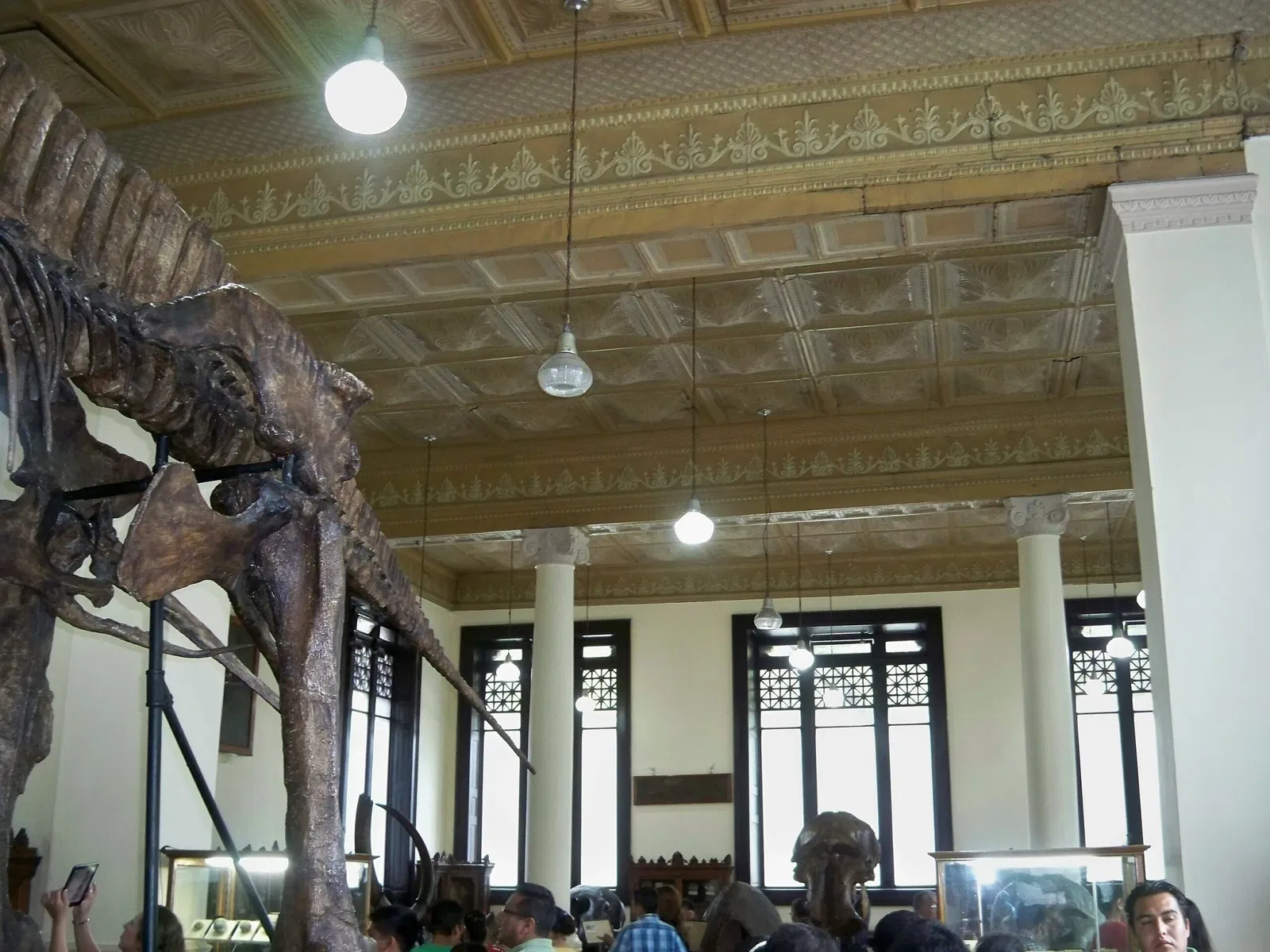 Museo de Geología