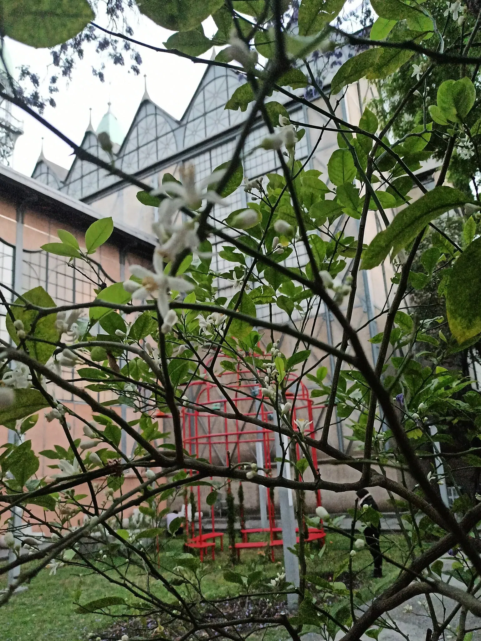 Museo Universitario del Chopo