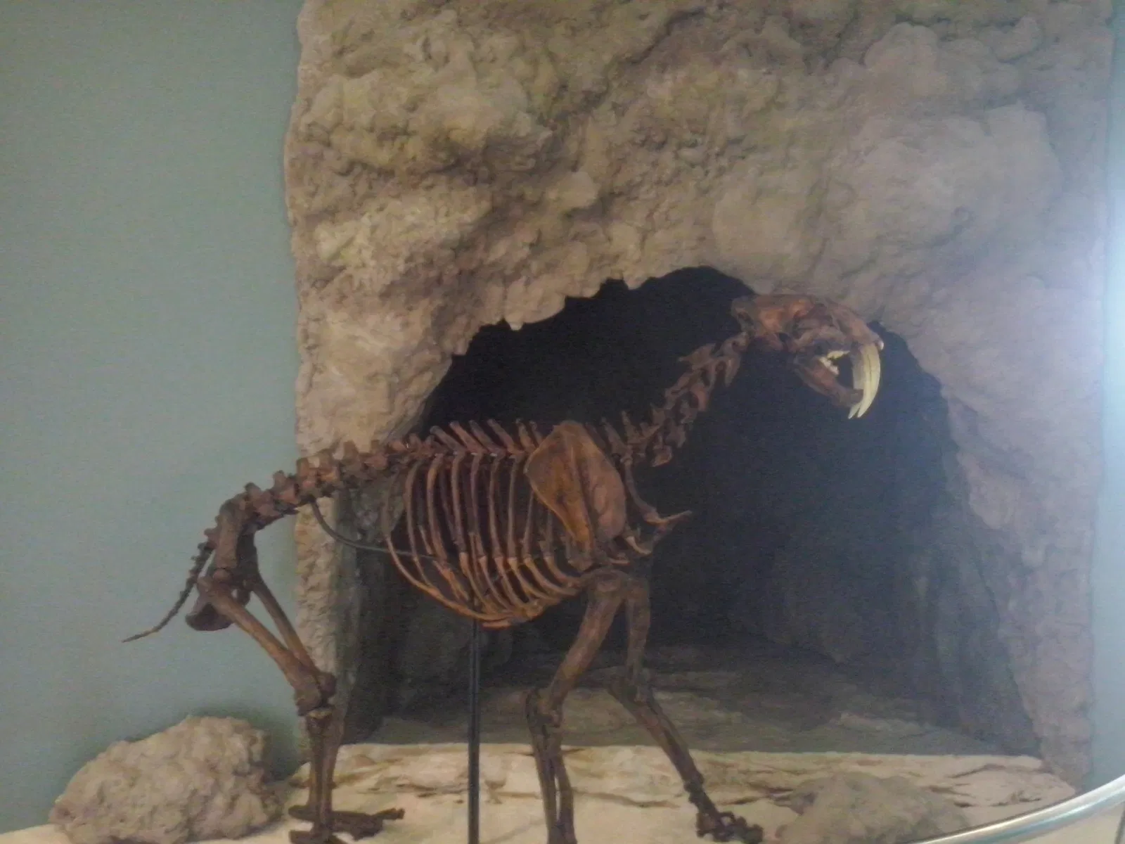 Museo Maya de Cancún