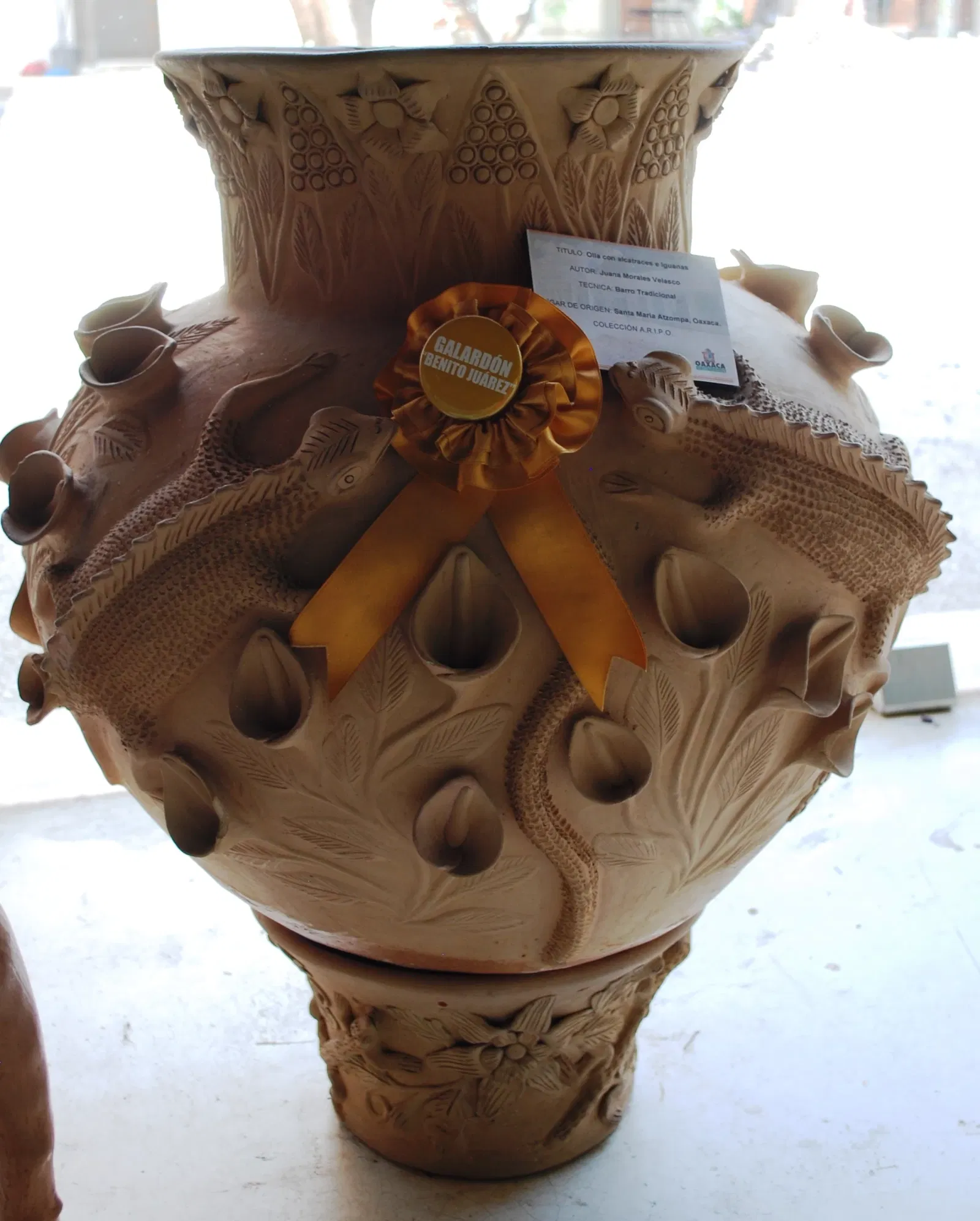 Museo Estatal De Arte Popular Oaxaca