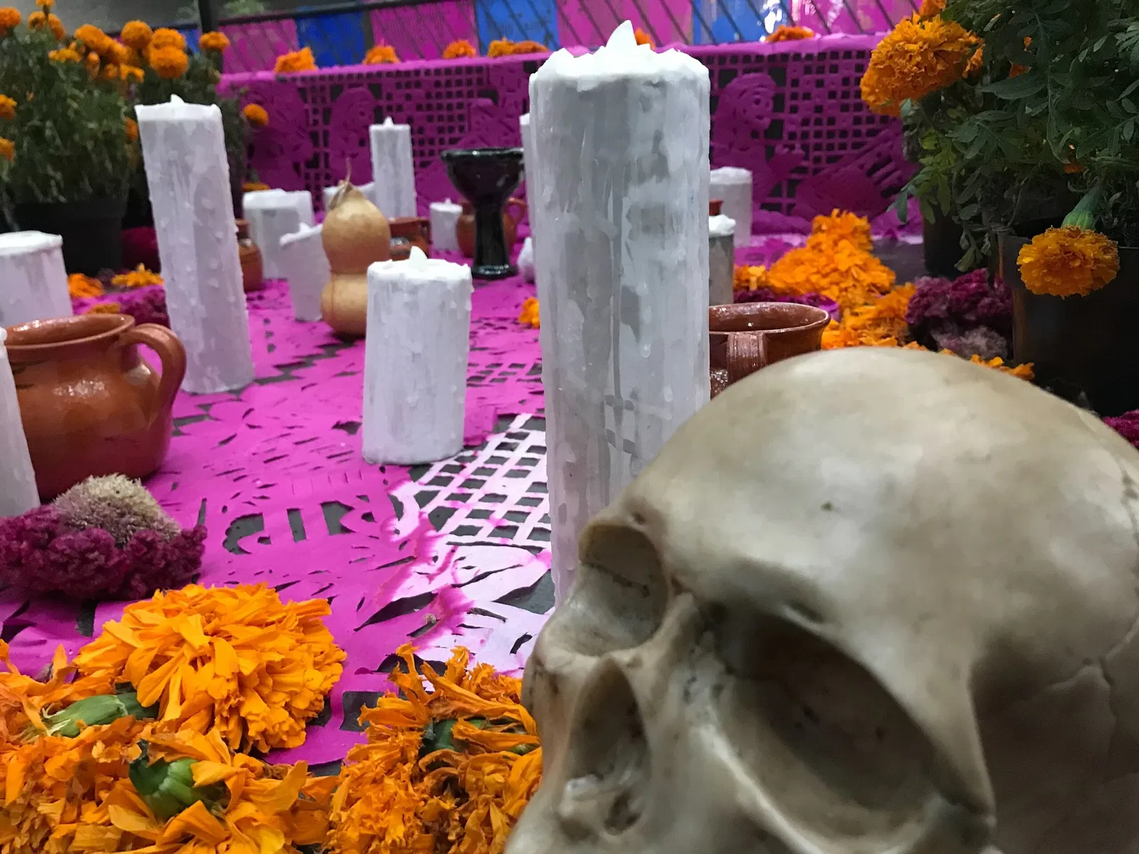 Cineteca Nacional de Mexico