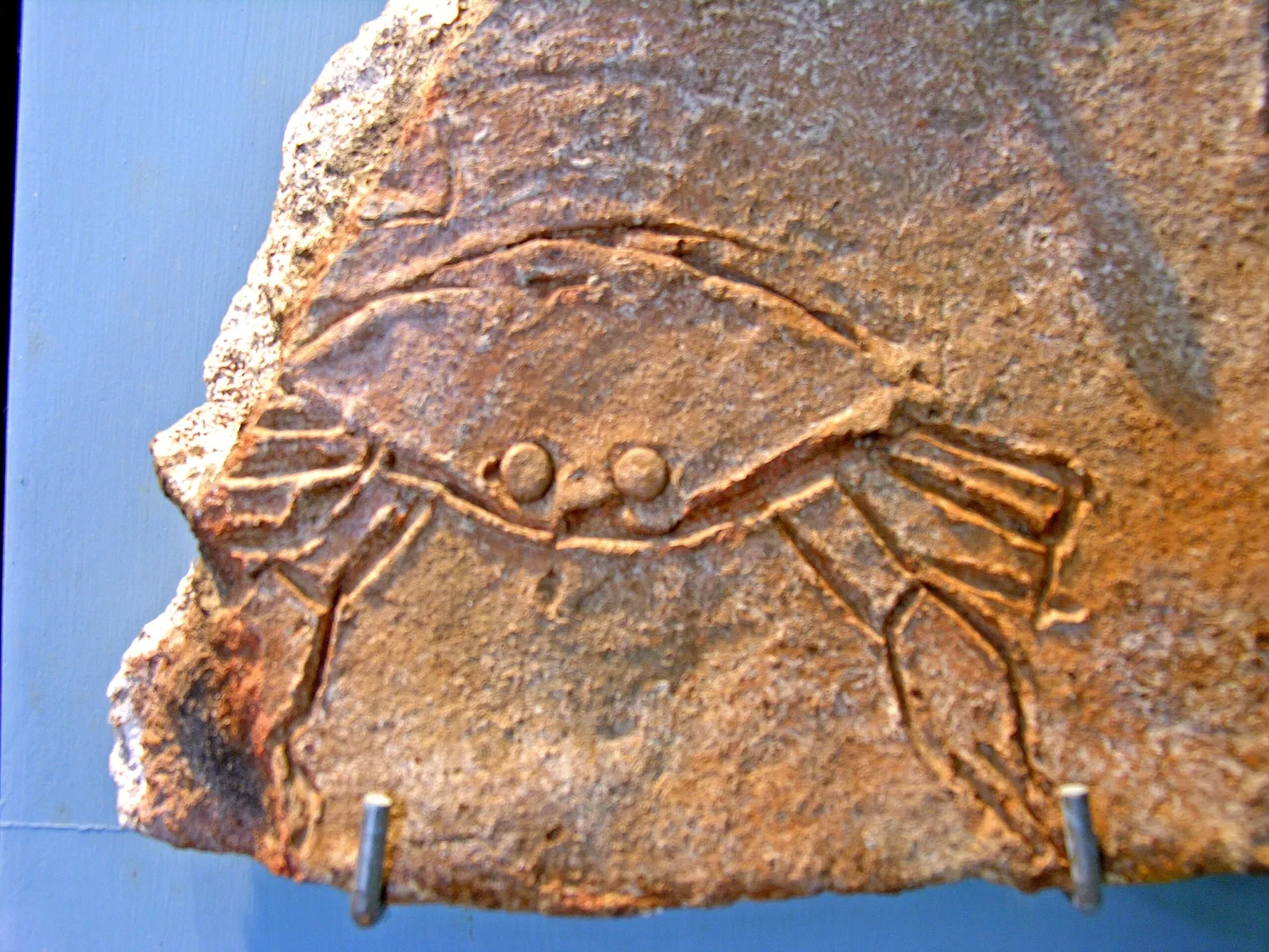 Site Museum Comalcalco