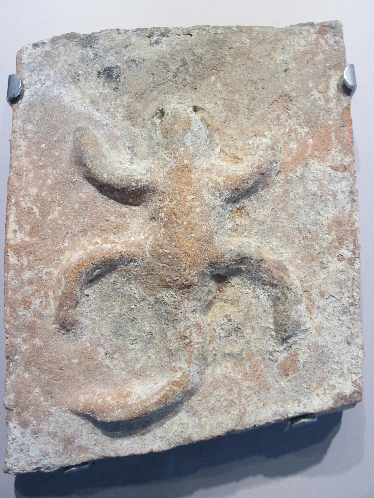 Site Museum Comalcalco