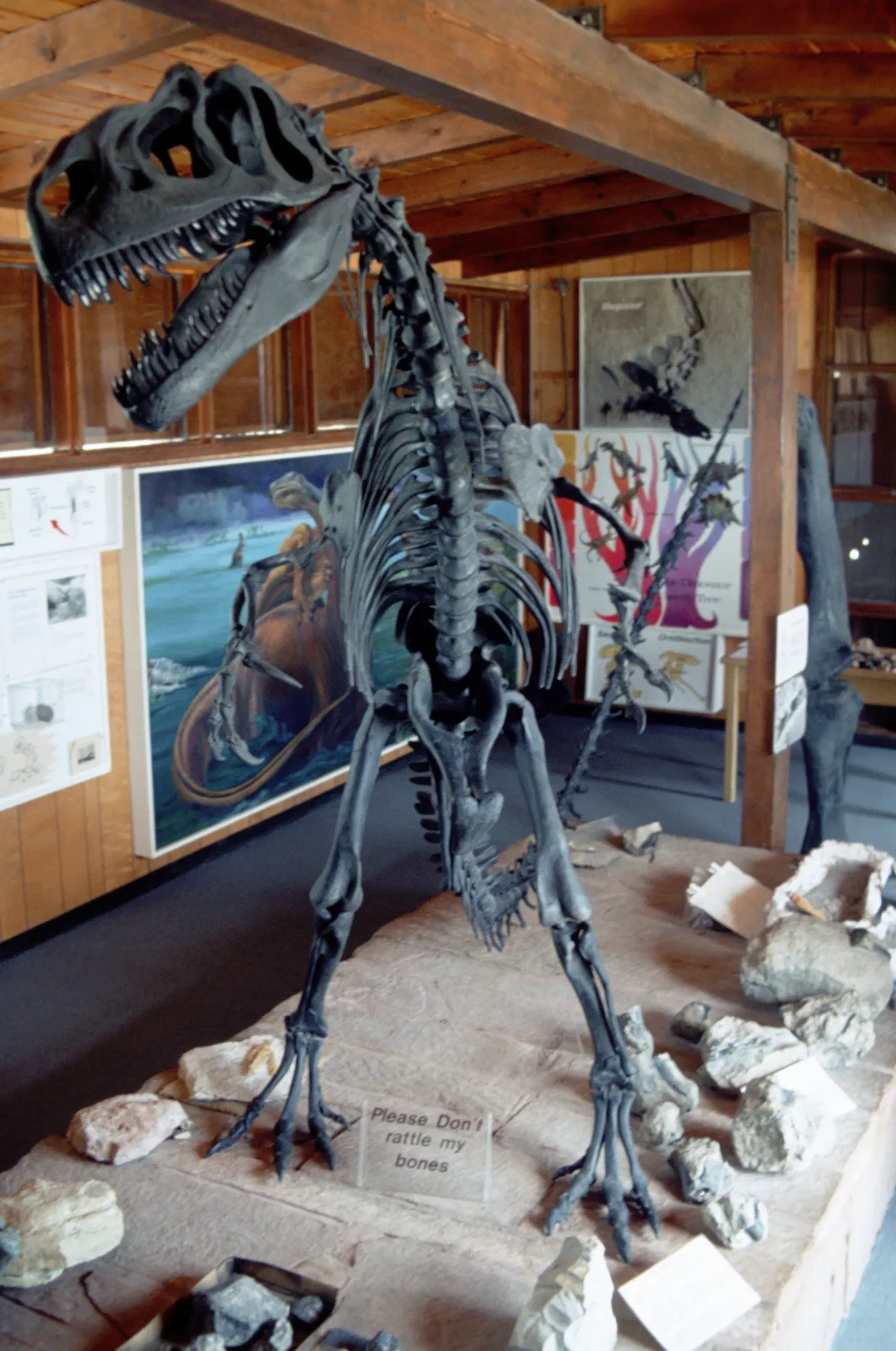 Cleveland Lloyd Dinosaur Quarry