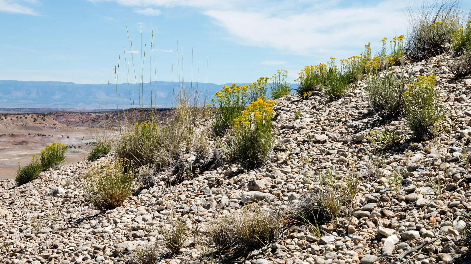 Jurassic National Monument