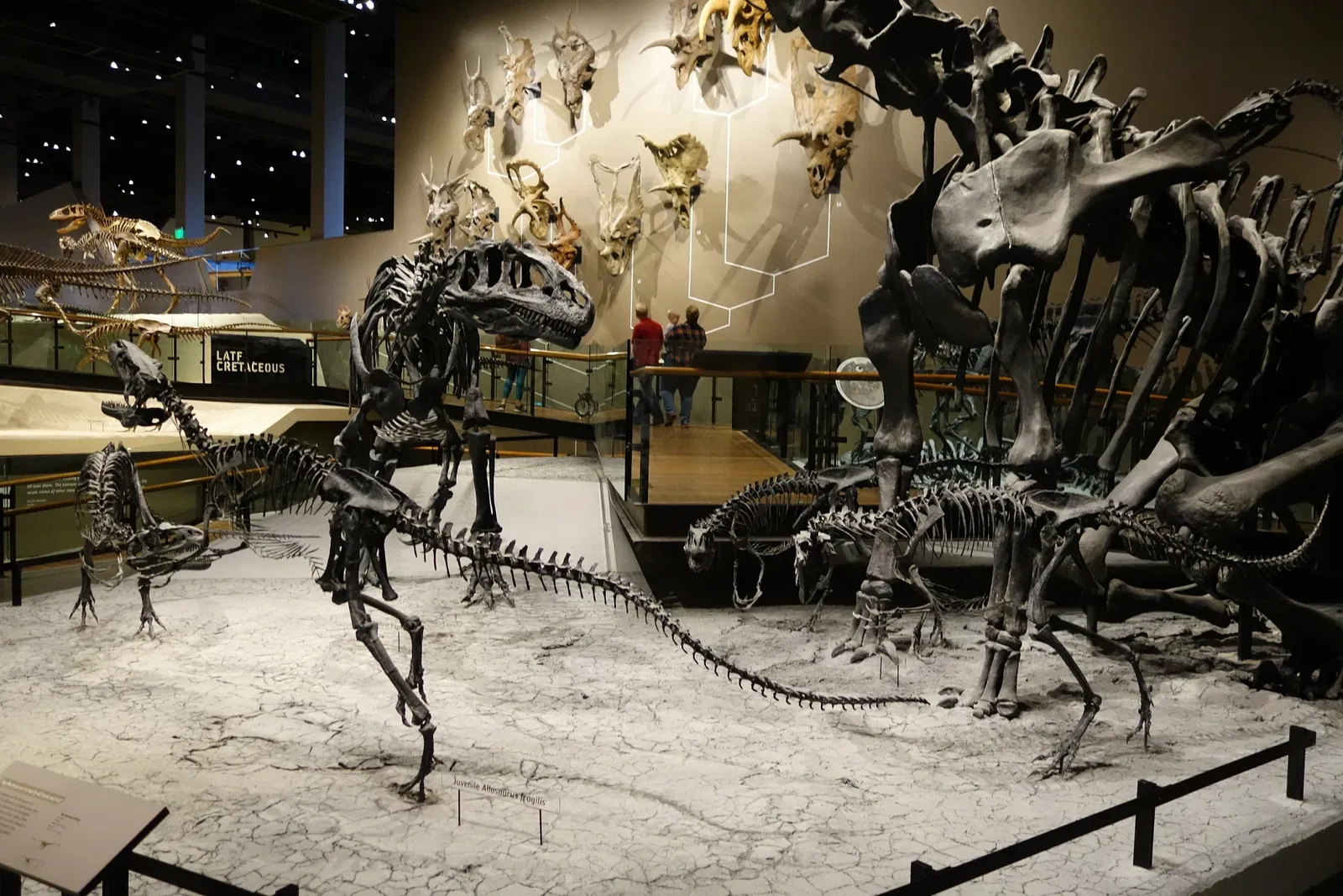 Jurassic National Monument