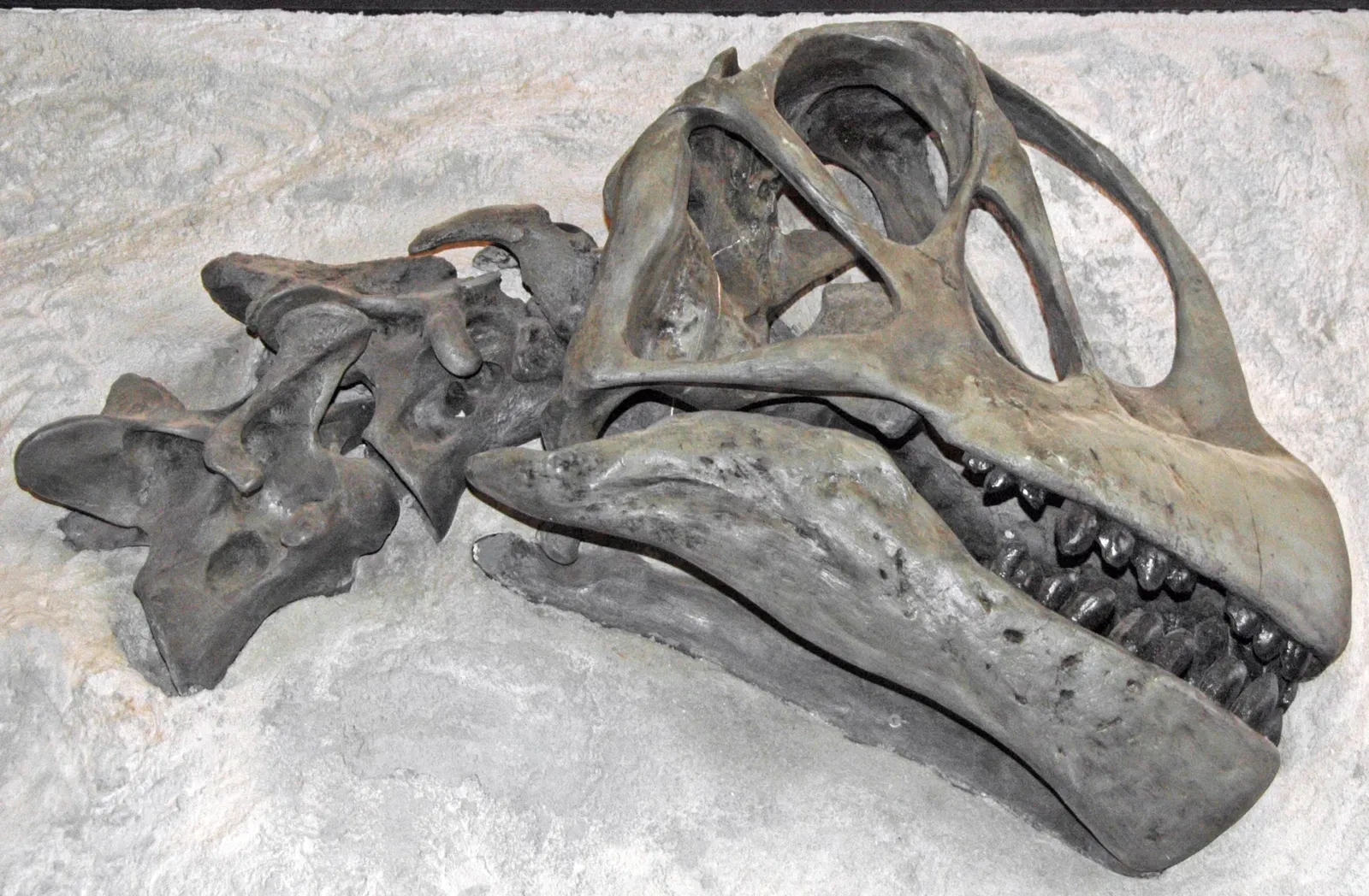 Cleveland Lloyd Dinosaur Quarry