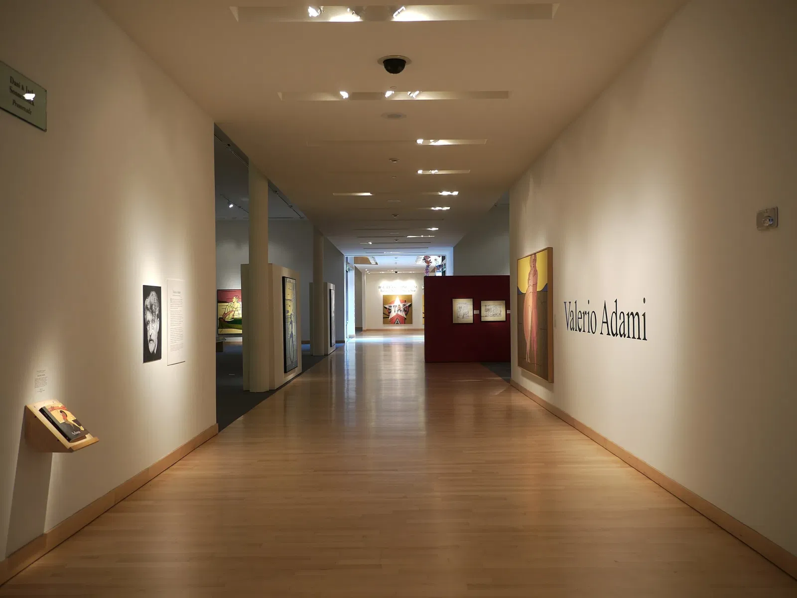 Museo de Arte de Boca Ratón