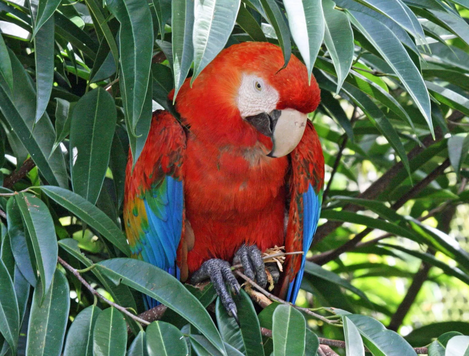 Zoológico de Puerto Rico - Dr. Juan A. Rivero