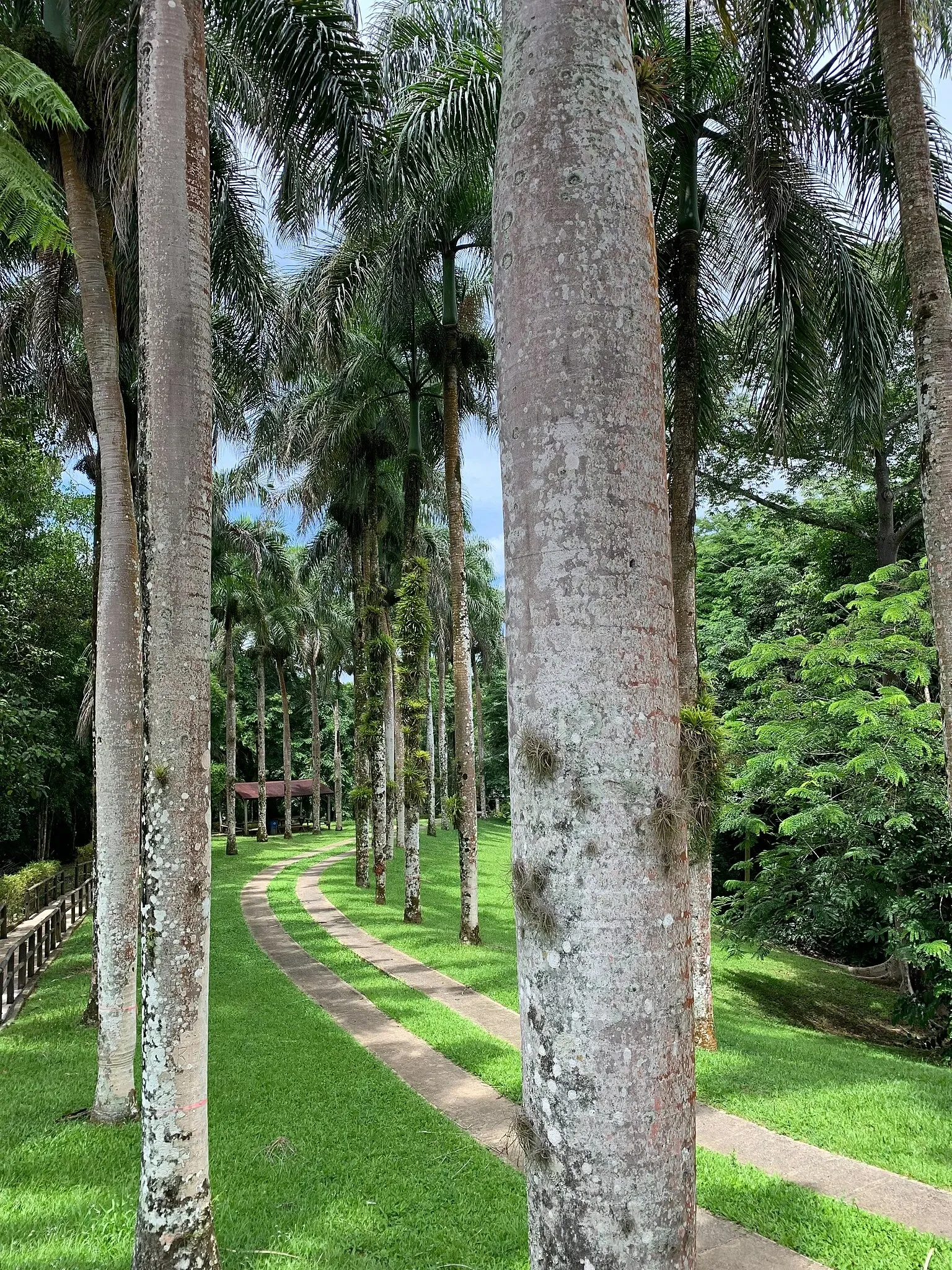 Caguana Ceremonial Indigenous Heritage Center